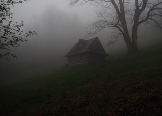 gray wooden house covered by fog