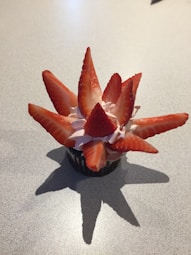 A pastel-colored layered cup cake with delicate cream swirls and fresh berries on top.