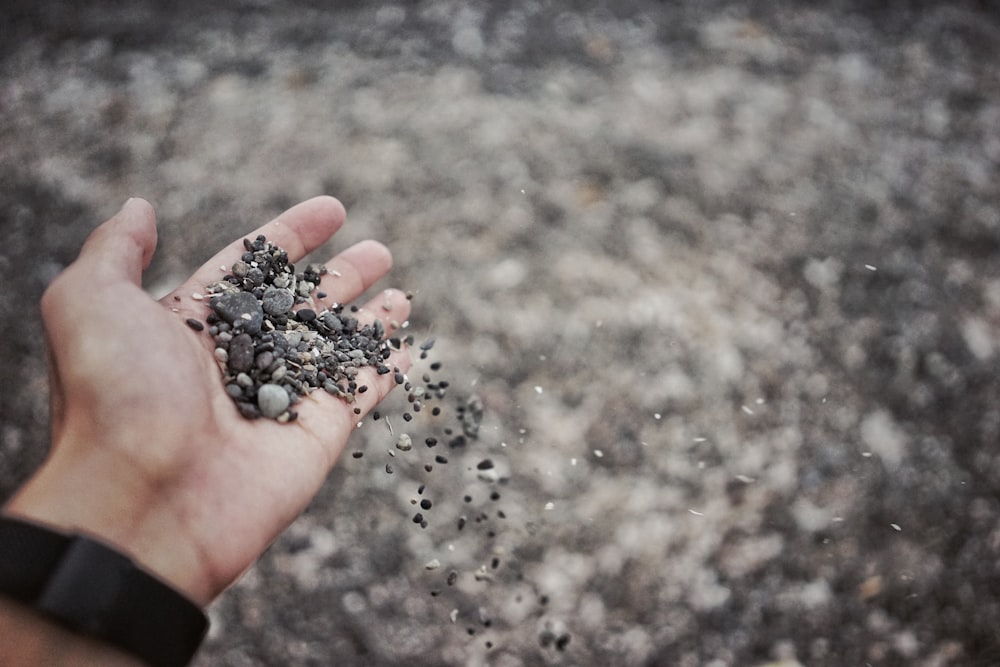 person pouring pebble