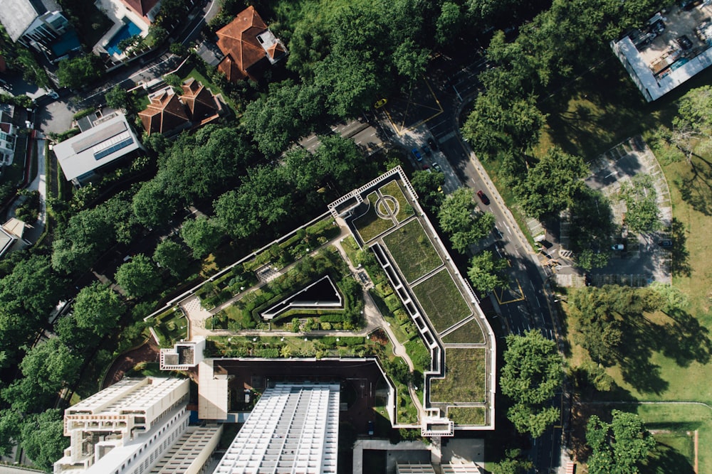 aerial photo of green leaf trees and buildings