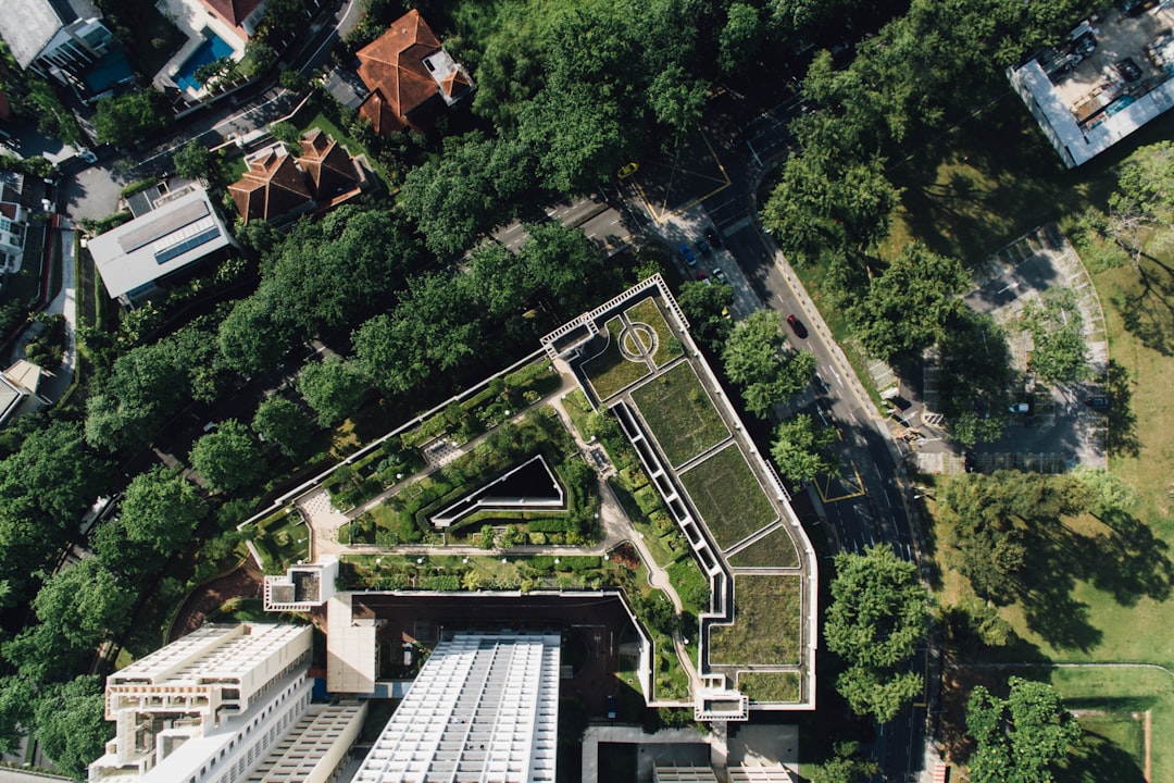 aerial photo of green leaf trees and buildings, with @expeditionxdrone