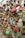 Numerous colorful padlocks attached to a wire mesh fence, with some padlocks inscribed with names and messages. The focus is on the locks, suggesting themes of love and commitment.