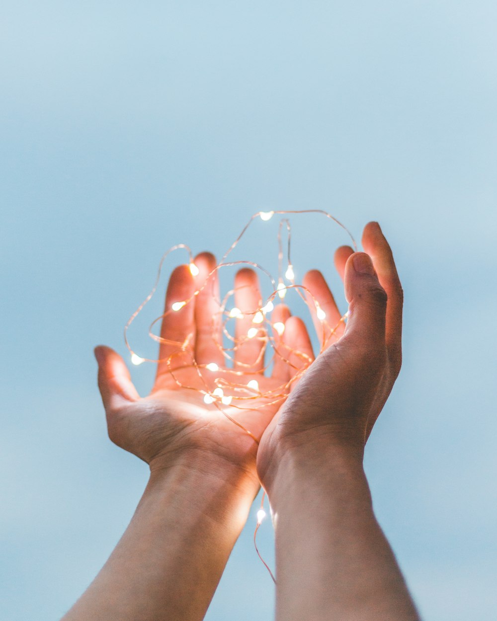 person holding string lights