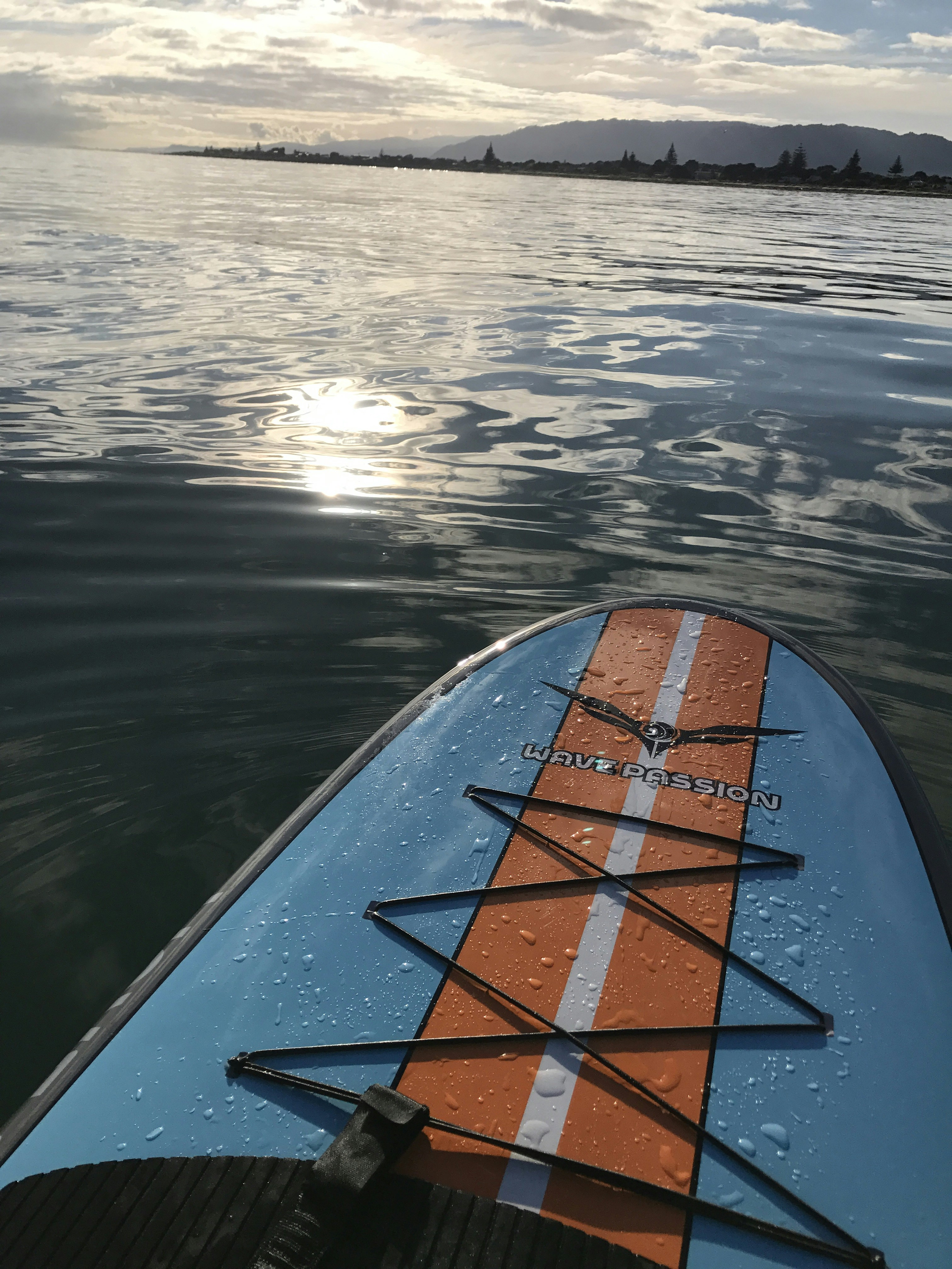 Free Unsplash photo from Marcia Haggerty