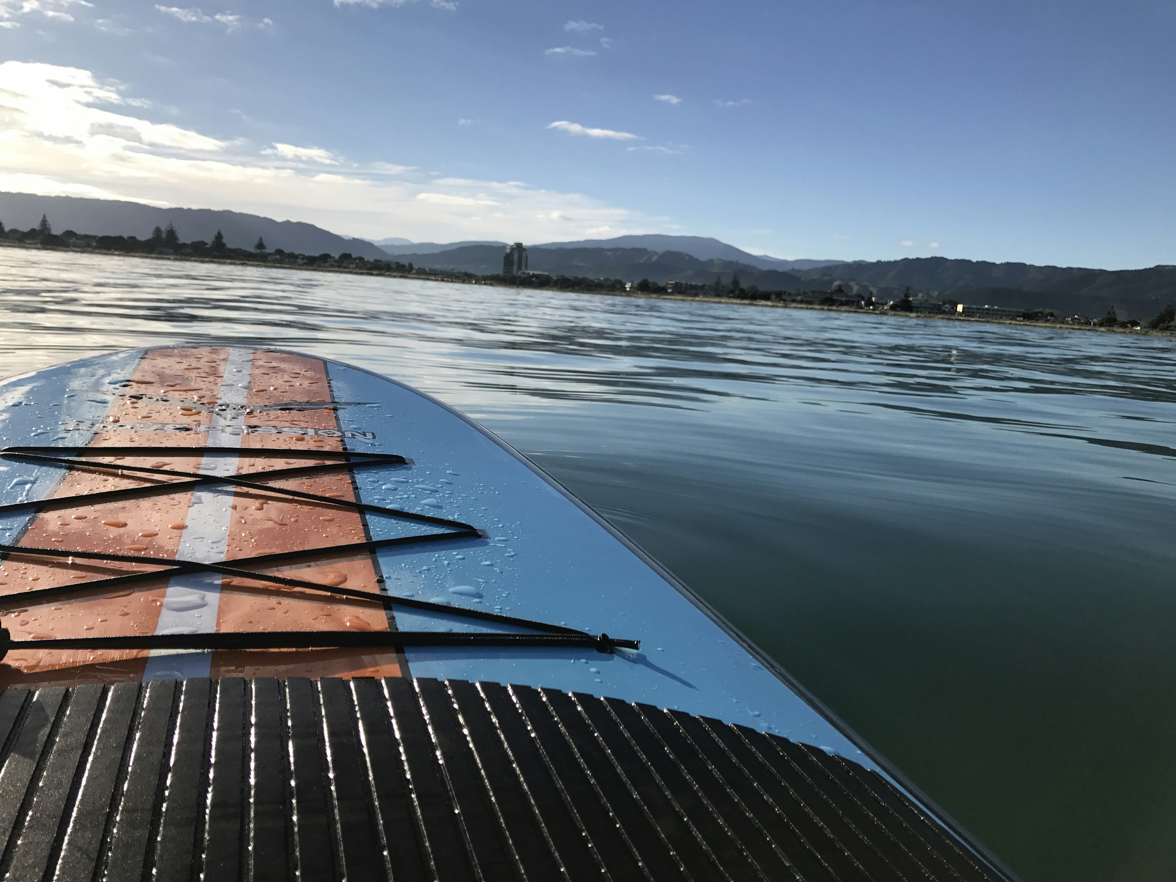 Free Unsplash photo from Marcia Haggerty