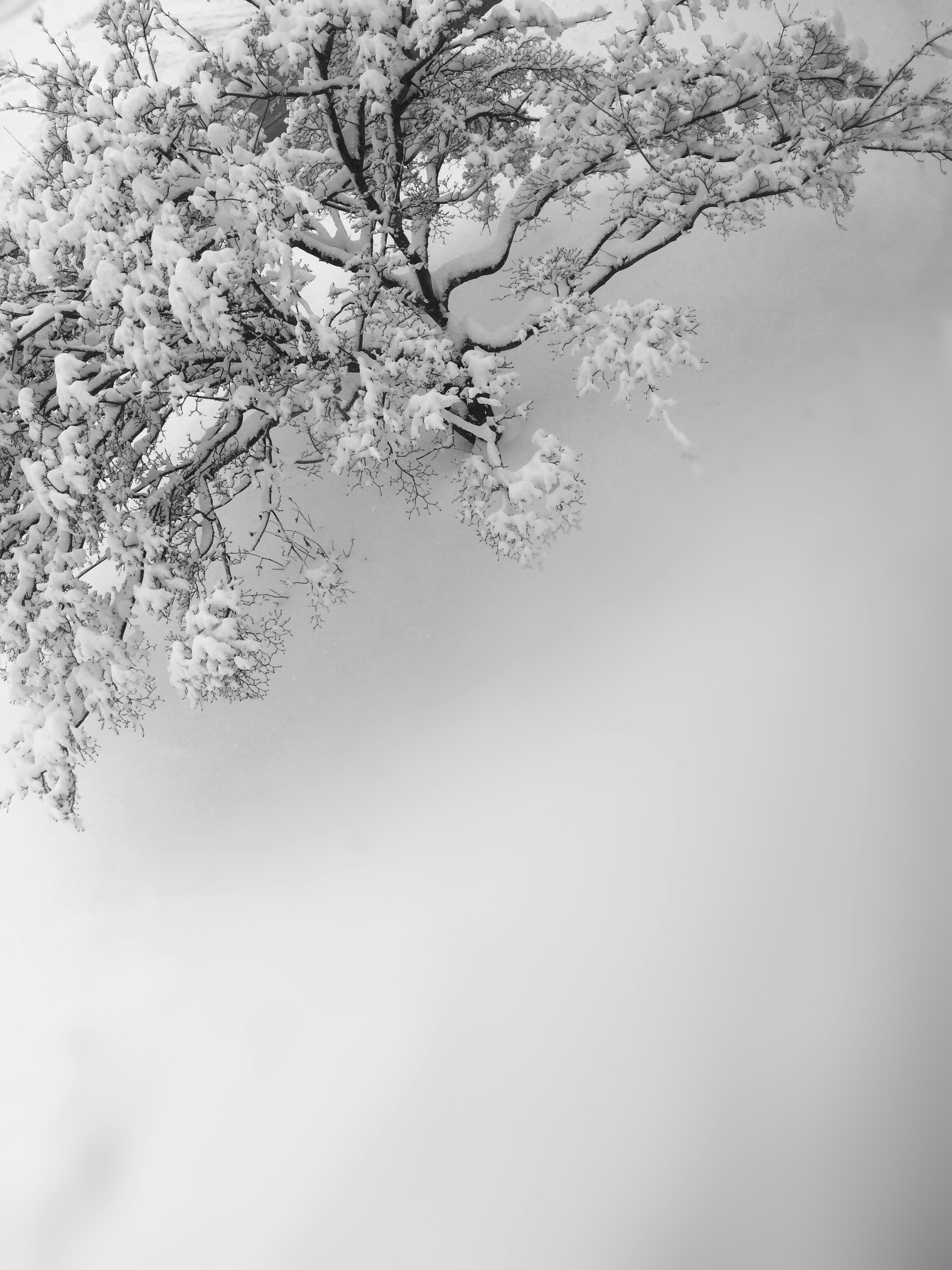 Free Unsplash photo from Ruben B