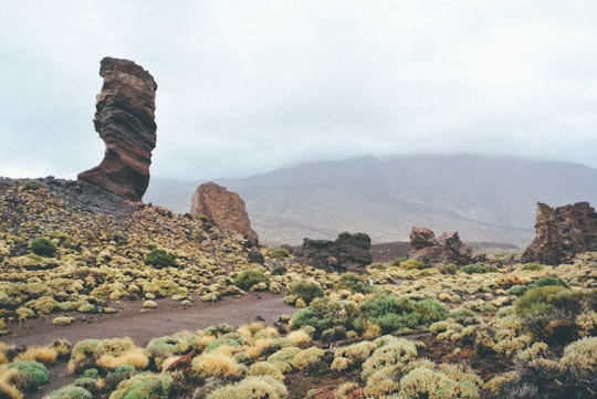 green grass field and boulders under blue sky in Teide National Park Spain