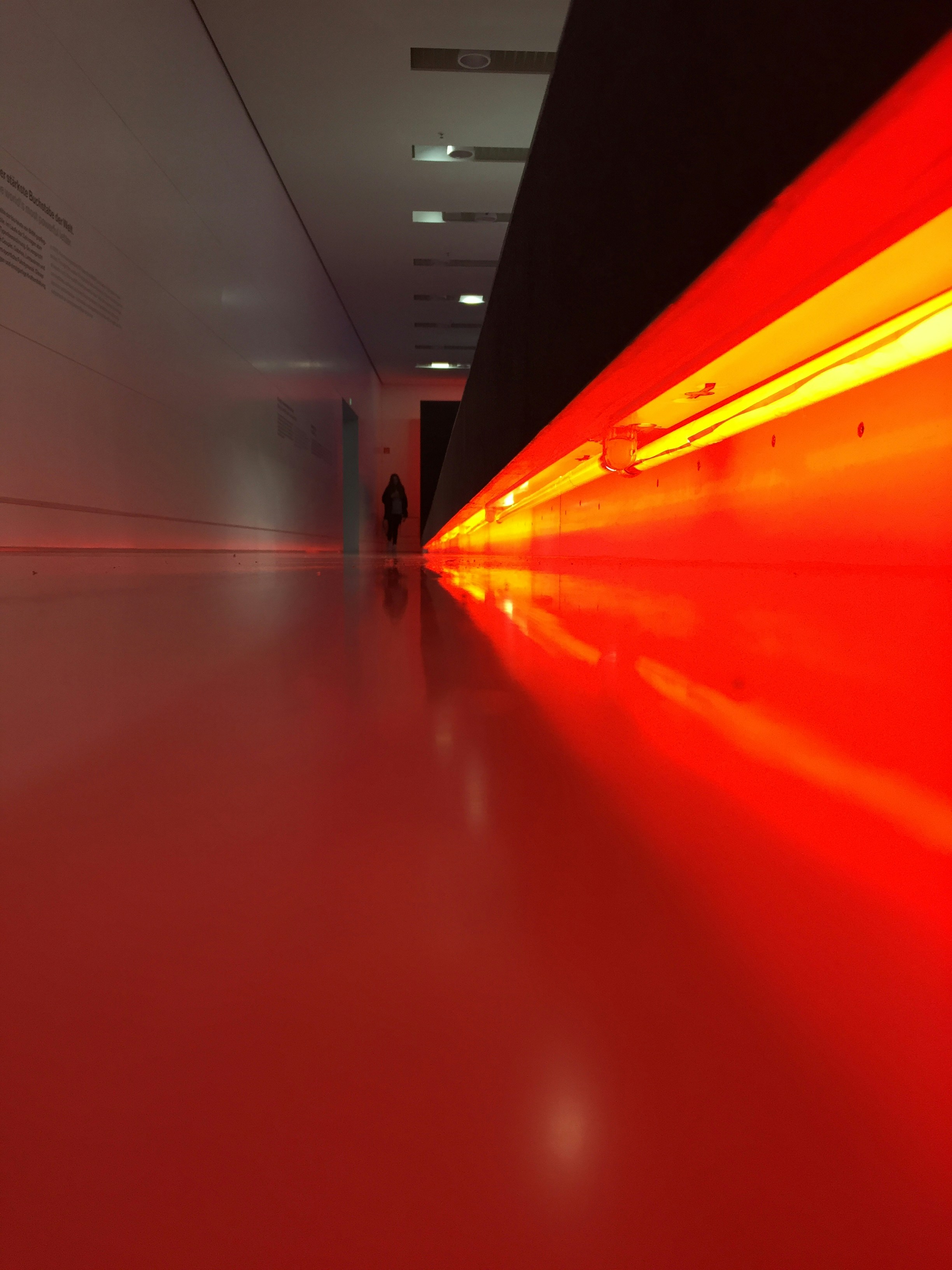 Free Unsplash photo from PAUL  Andrade