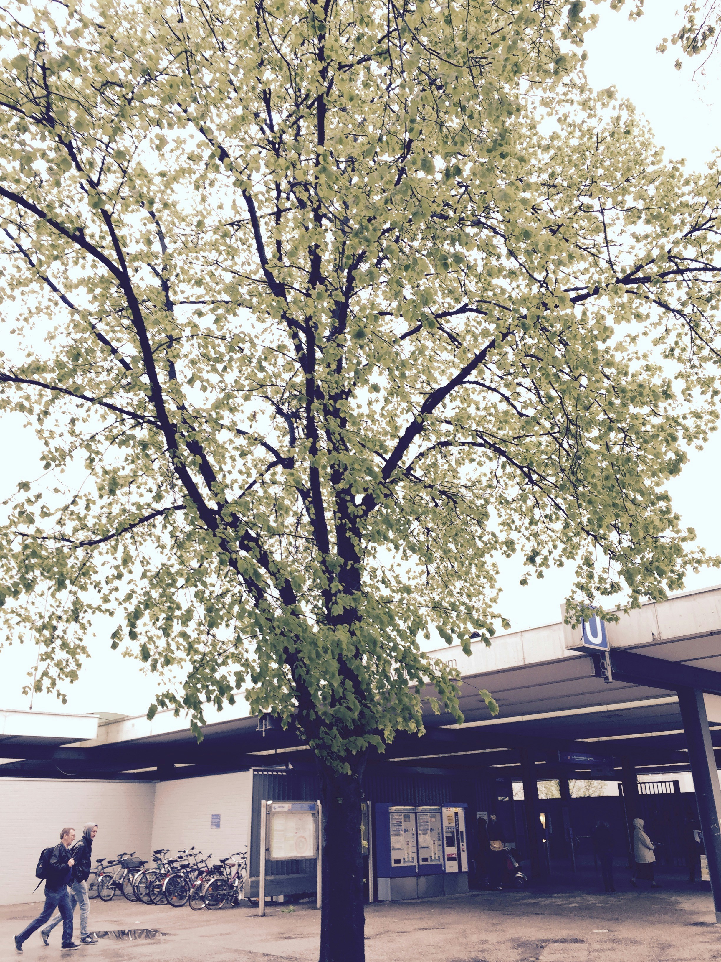 Free Unsplash photo from PAUL  Andrade