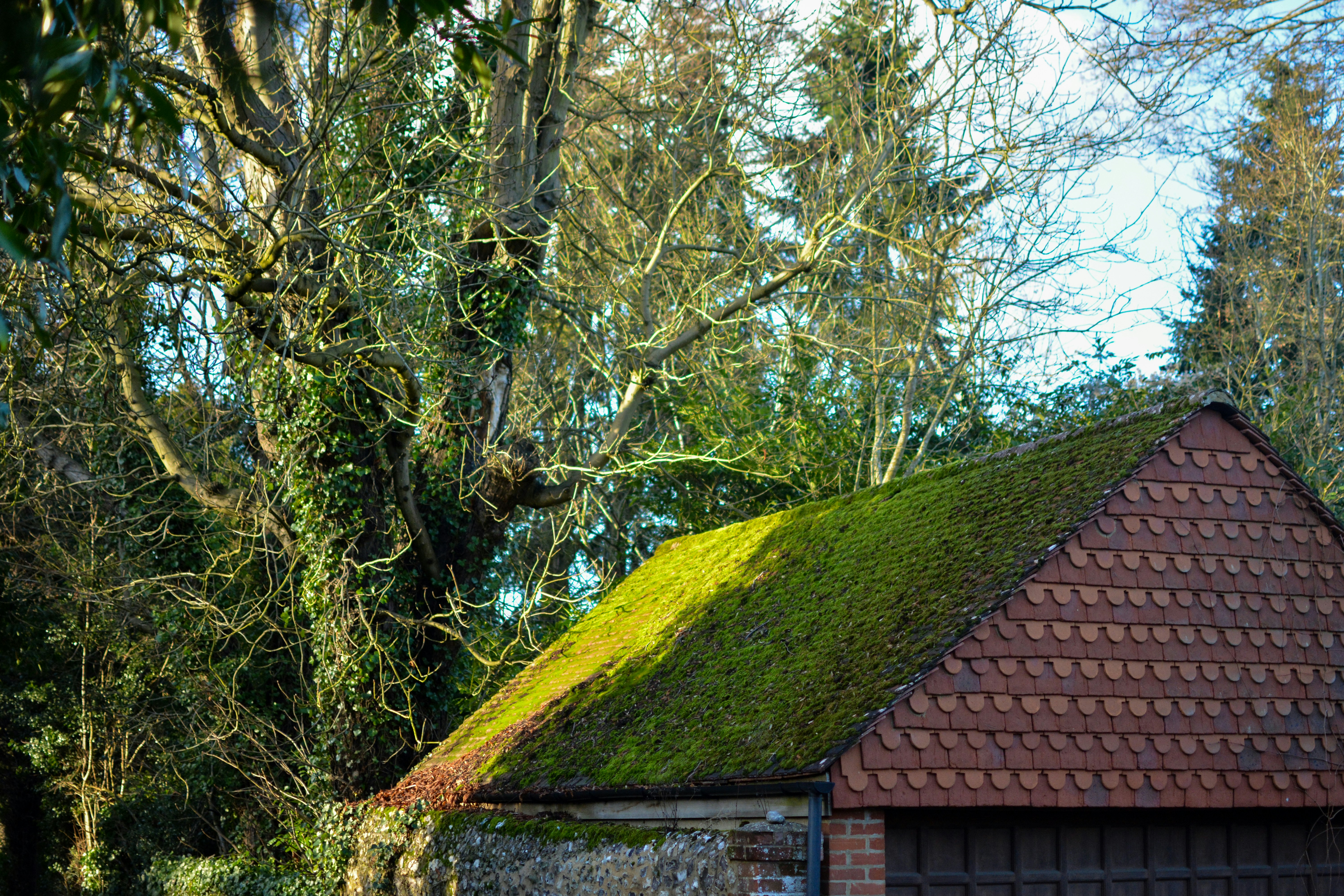 Free Unsplash photo from Nick van den Berg