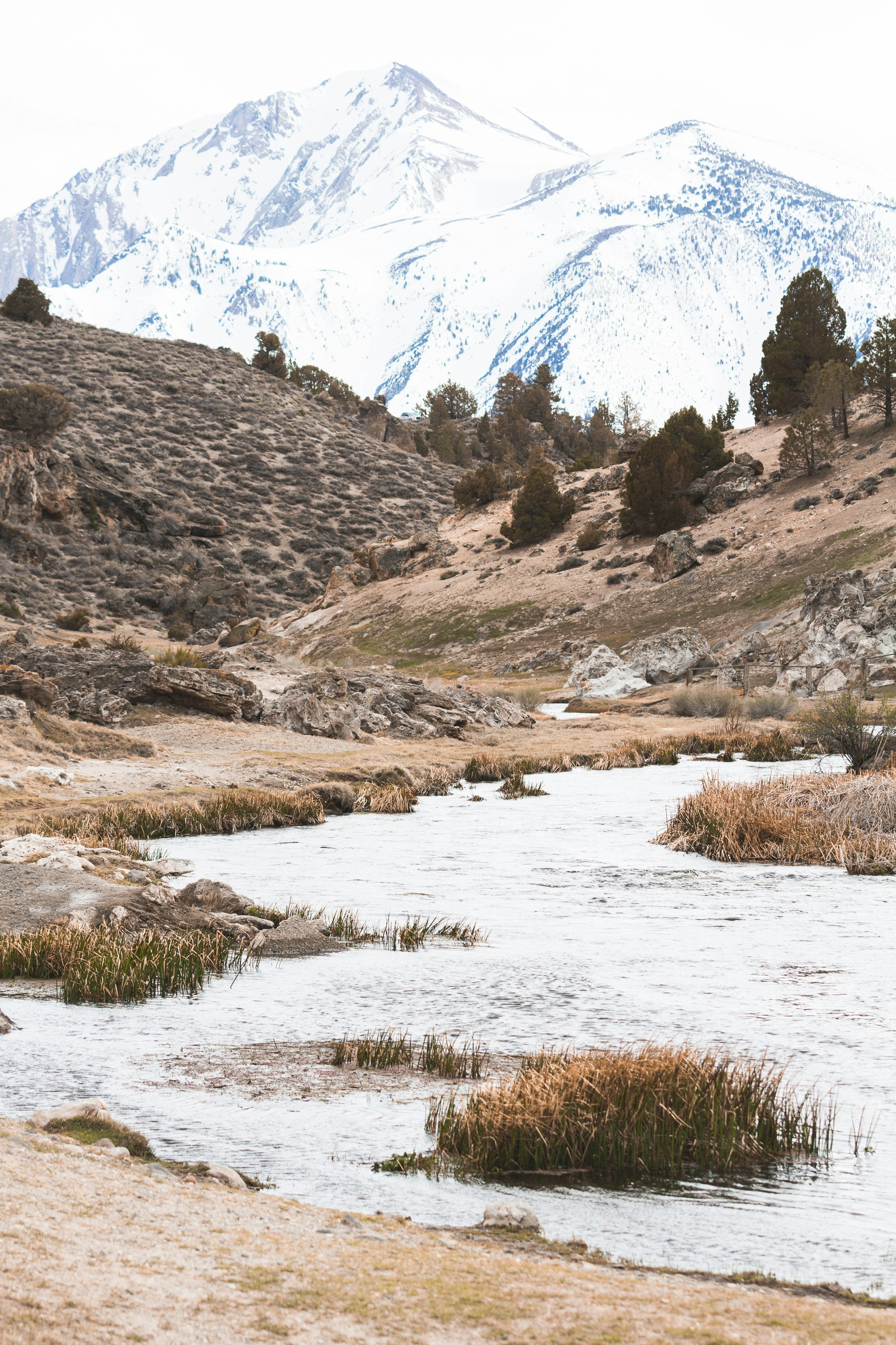 Free Unsplash photo from Jörg Angeli