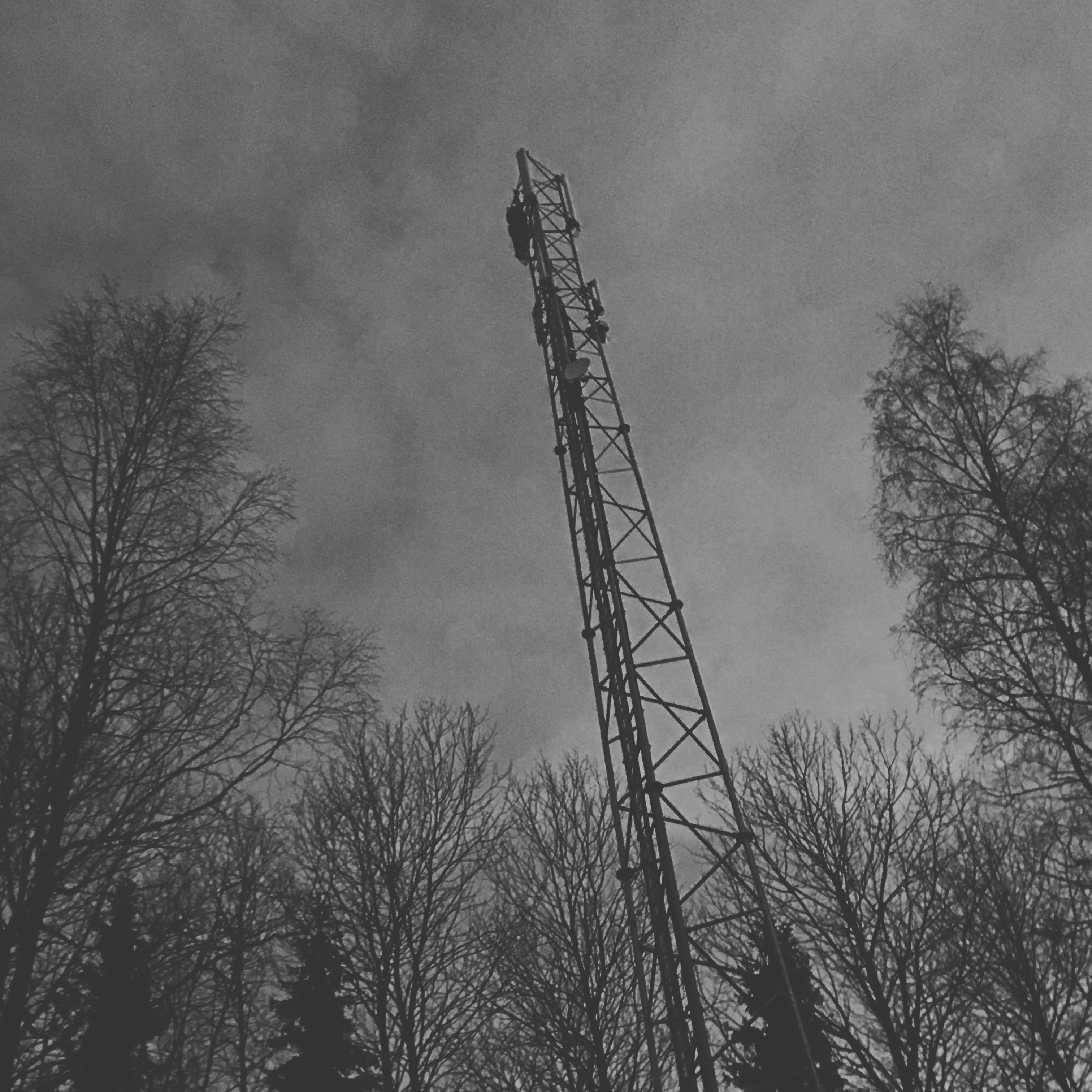 Free Unsplash photo from Björn  Flintberg