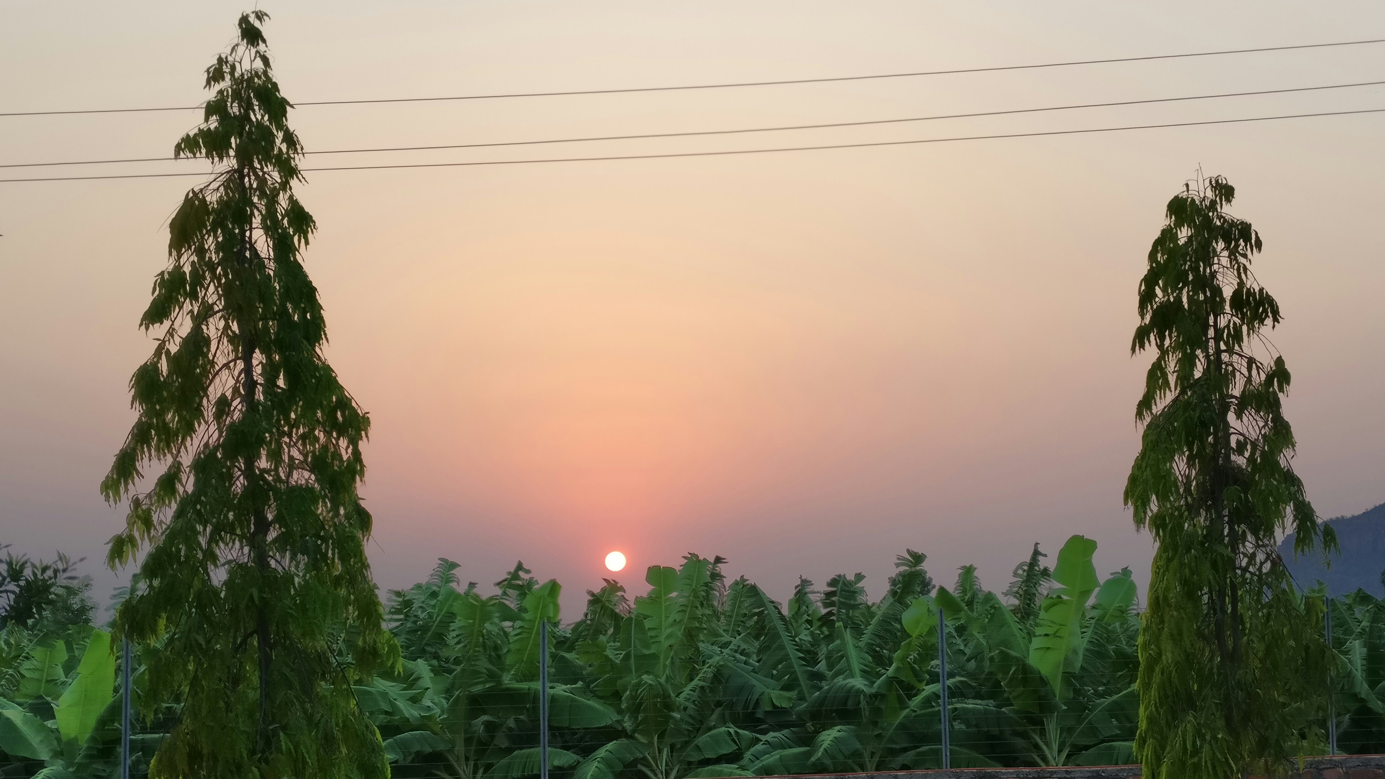 Free Unsplash photo from Vijay Kumar