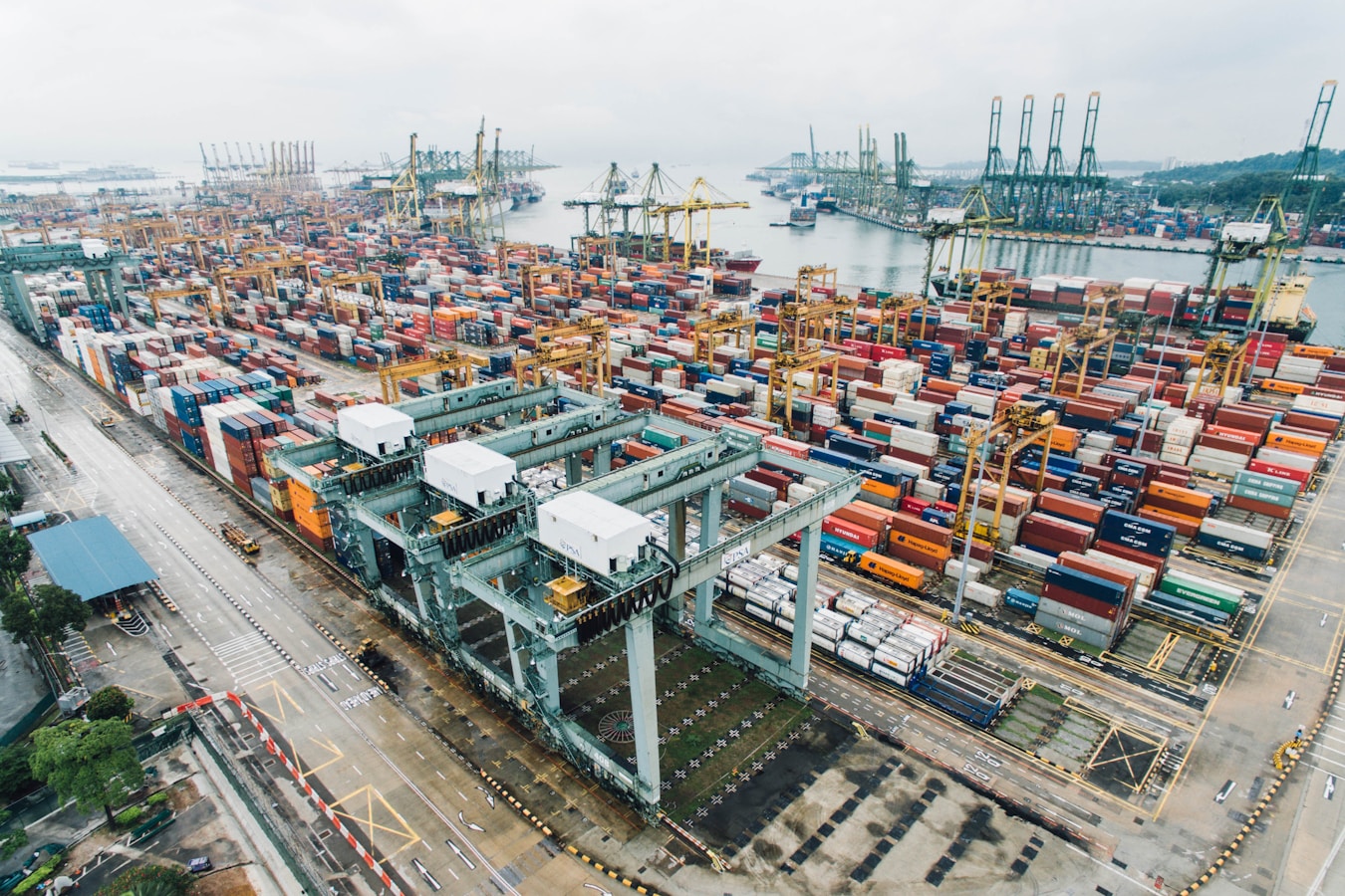 Supply Chain & Importing: From Purchase Request to True Landed Cost