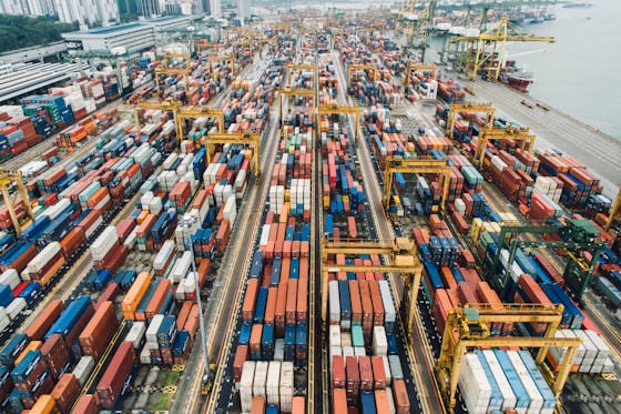 Port logistics — Importa Coletiva mission