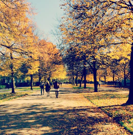 Guests enjoying a guided trek along a forest trail surrounded by vibrant autumn foliage.