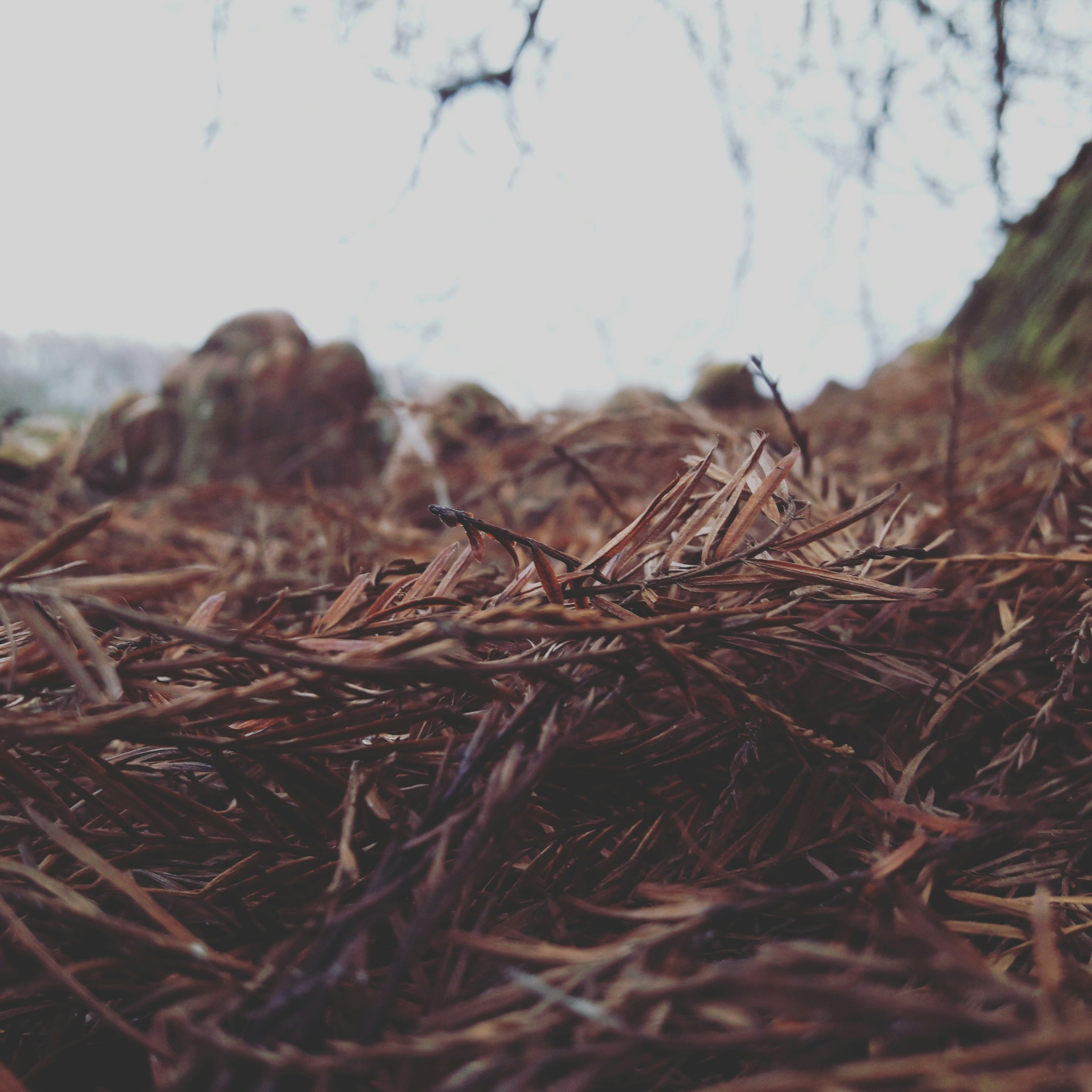 Free Unsplash photo from Michiel Hanenburg