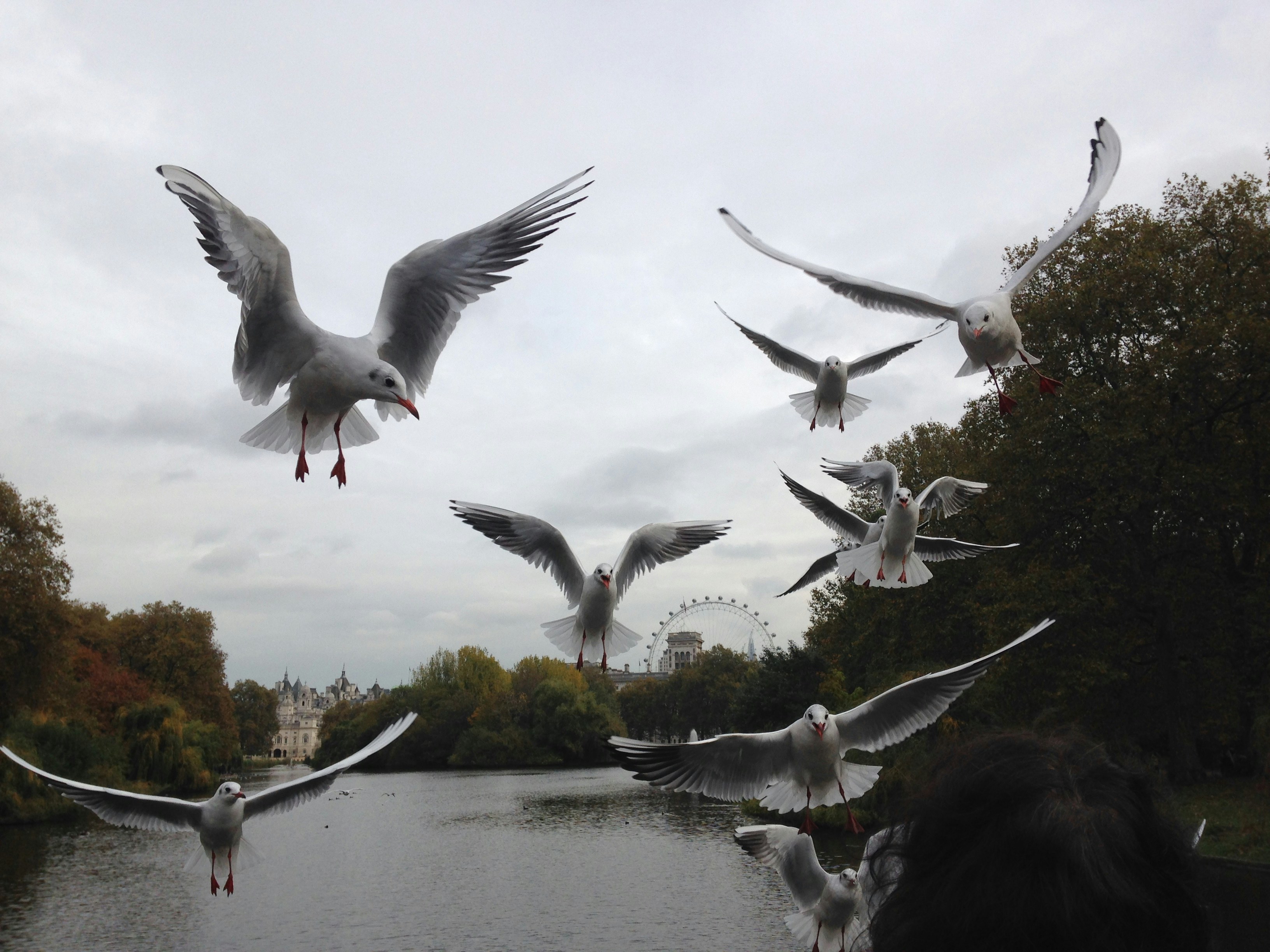 Free Unsplash photo from Rosa Prenafeta