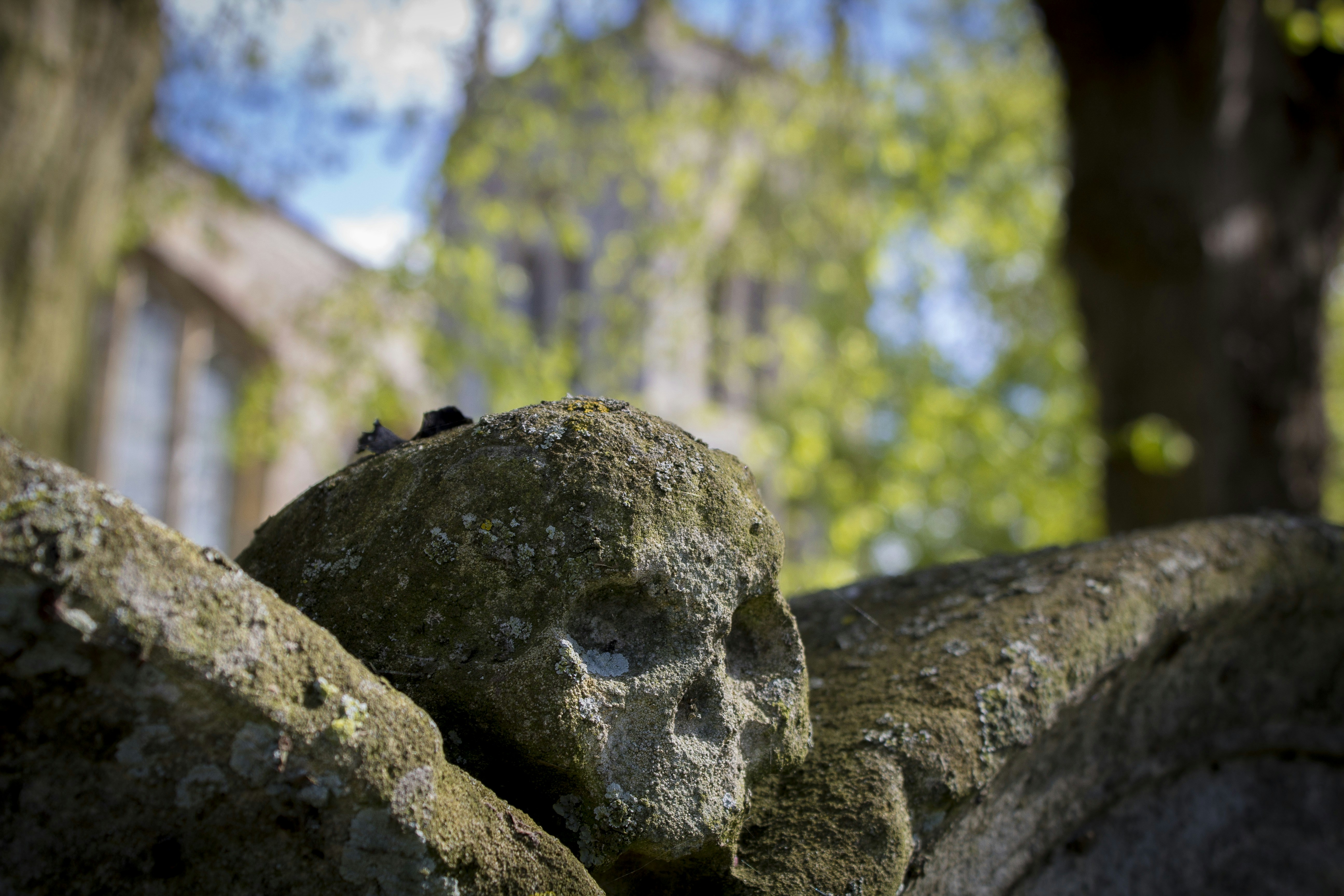 Free Unsplash photo from Louis Emmett