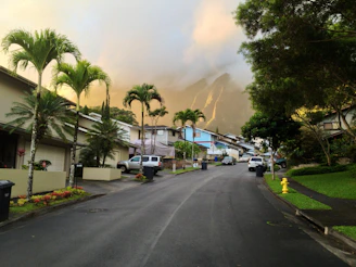 A sunlit California neighborhood with charming rental homes and palm trees lining the street.