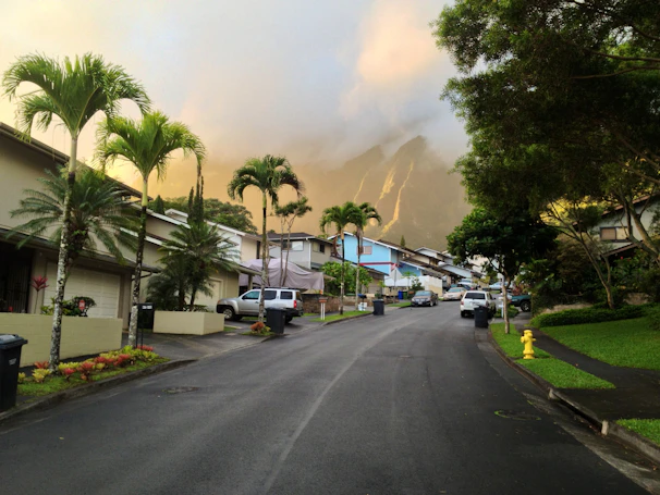 A sunlit California neighborhood with charming rental homes and palm trees lining the street.