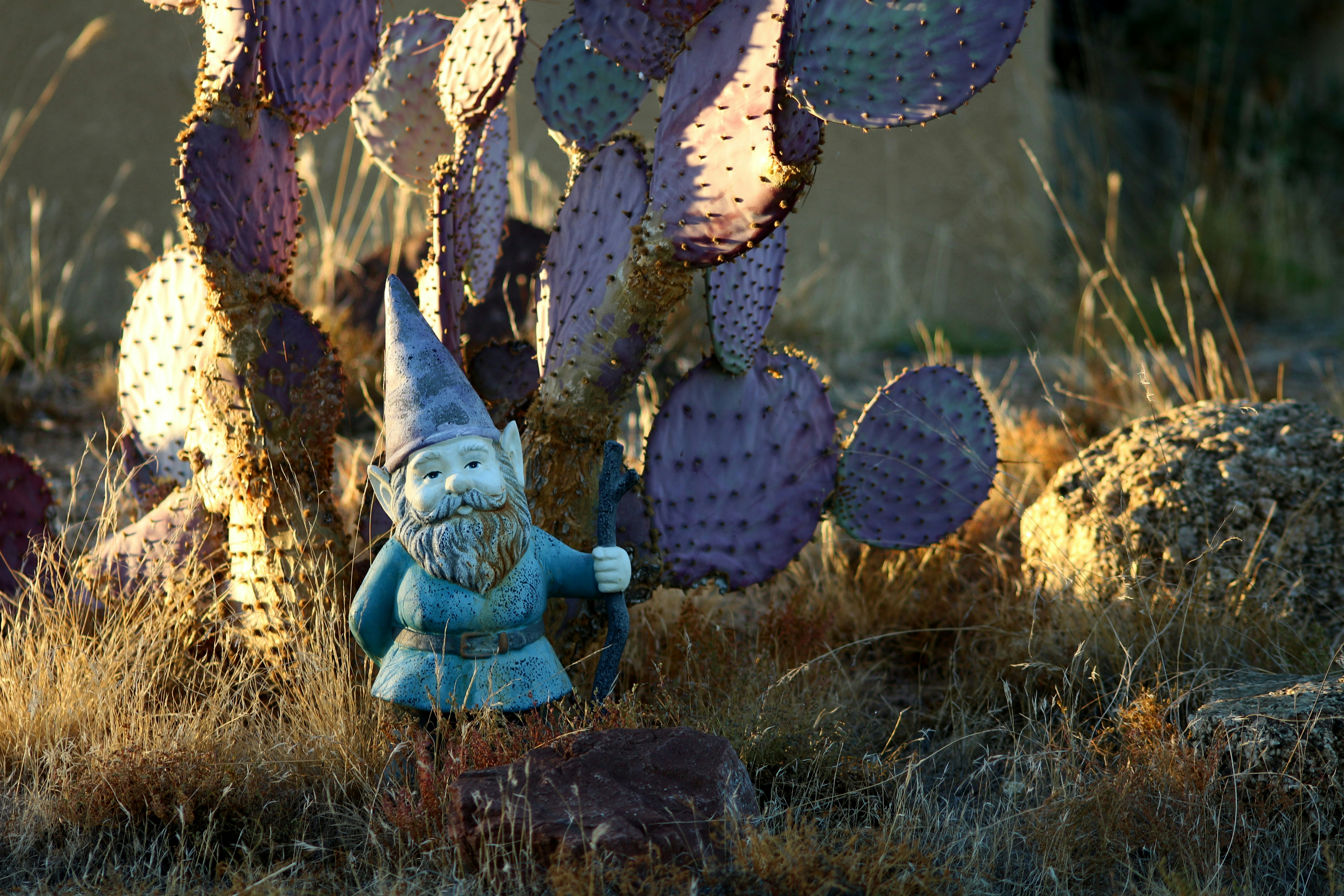 Free Unsplash photo from Daniel Tuttle