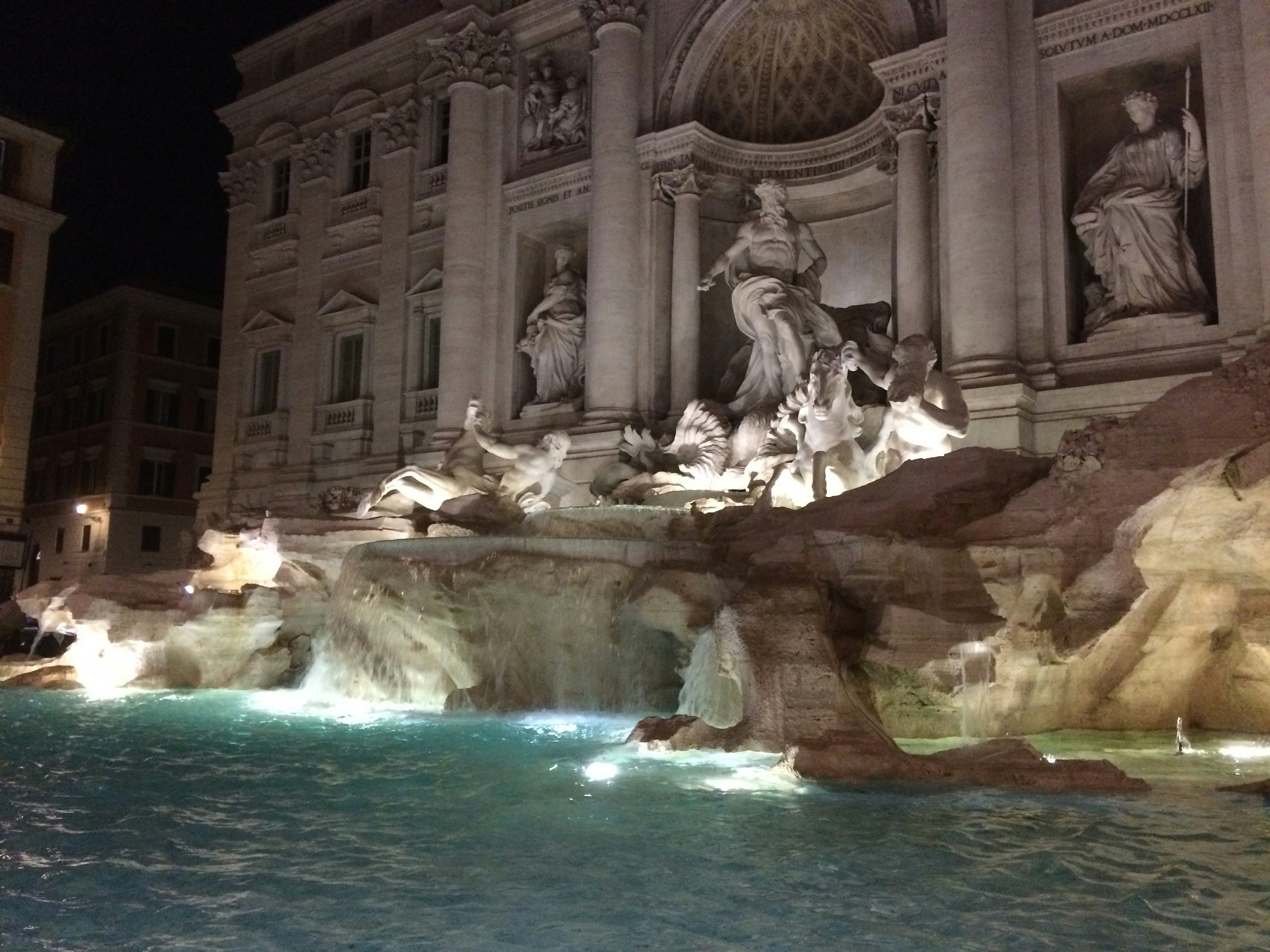 Free Unsplash photo from MyTurtle IsPurple