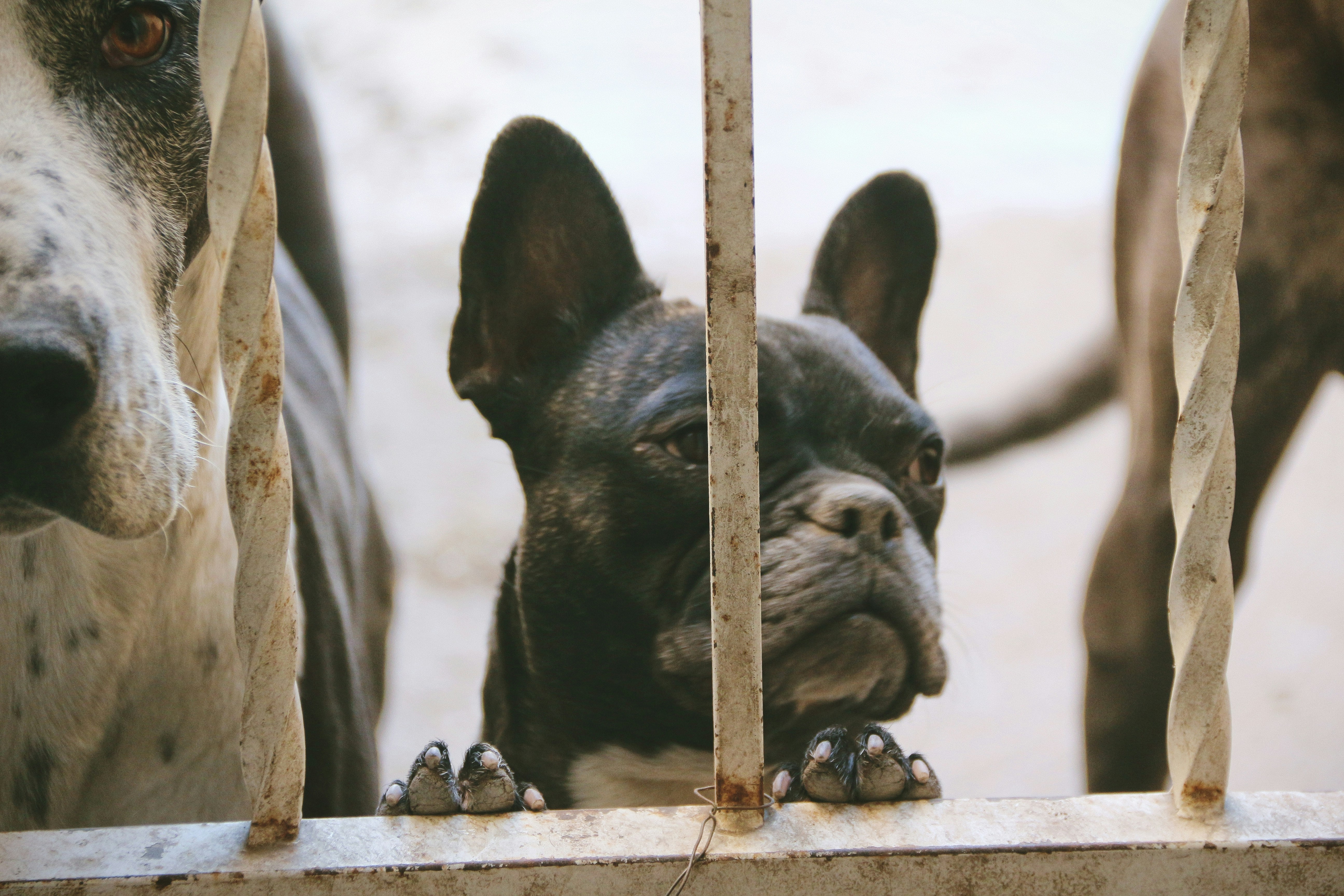 Free Unsplash photo from Priss Enriquez