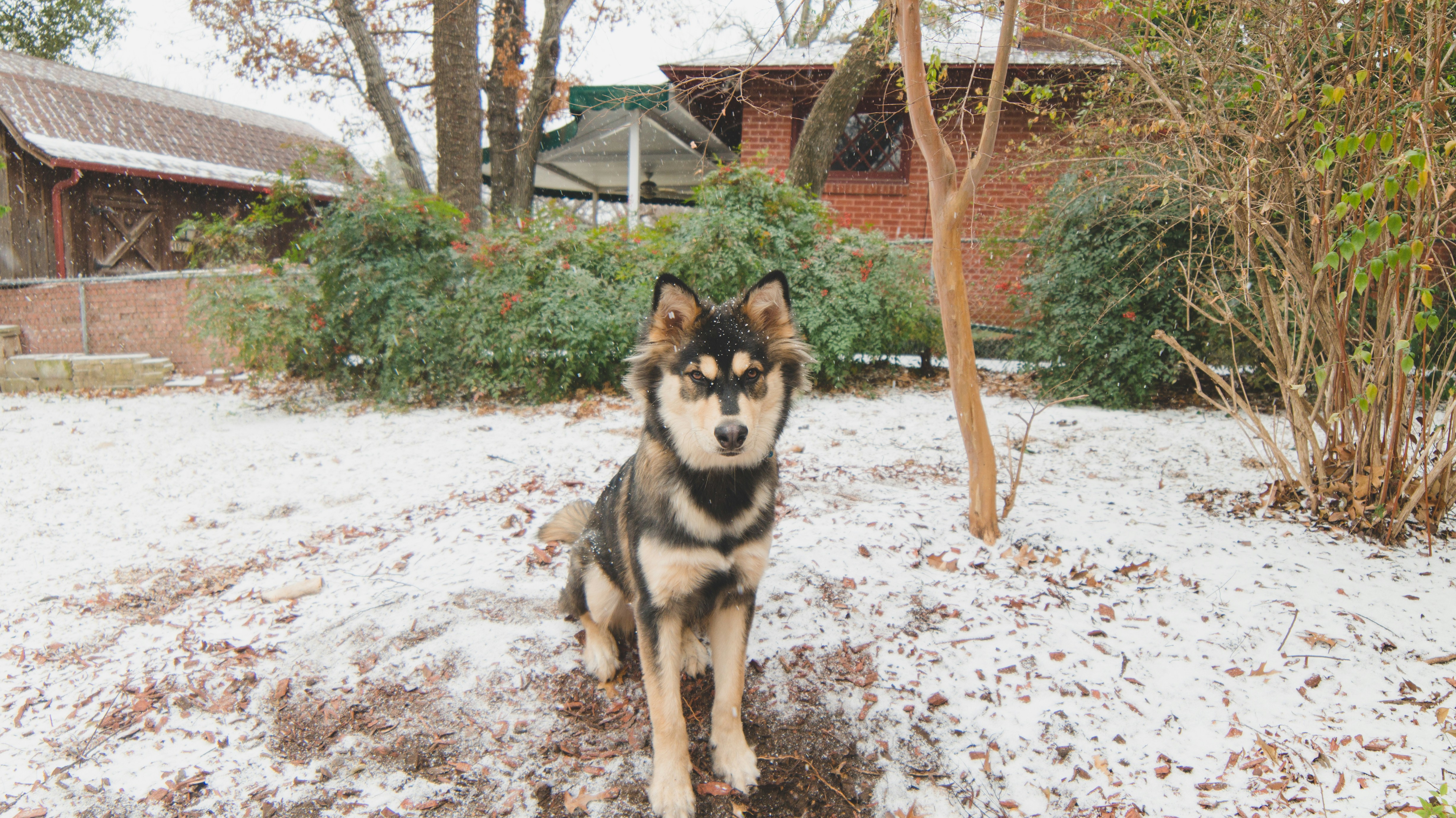 Free Unsplash photo from Joseph Wilkinson