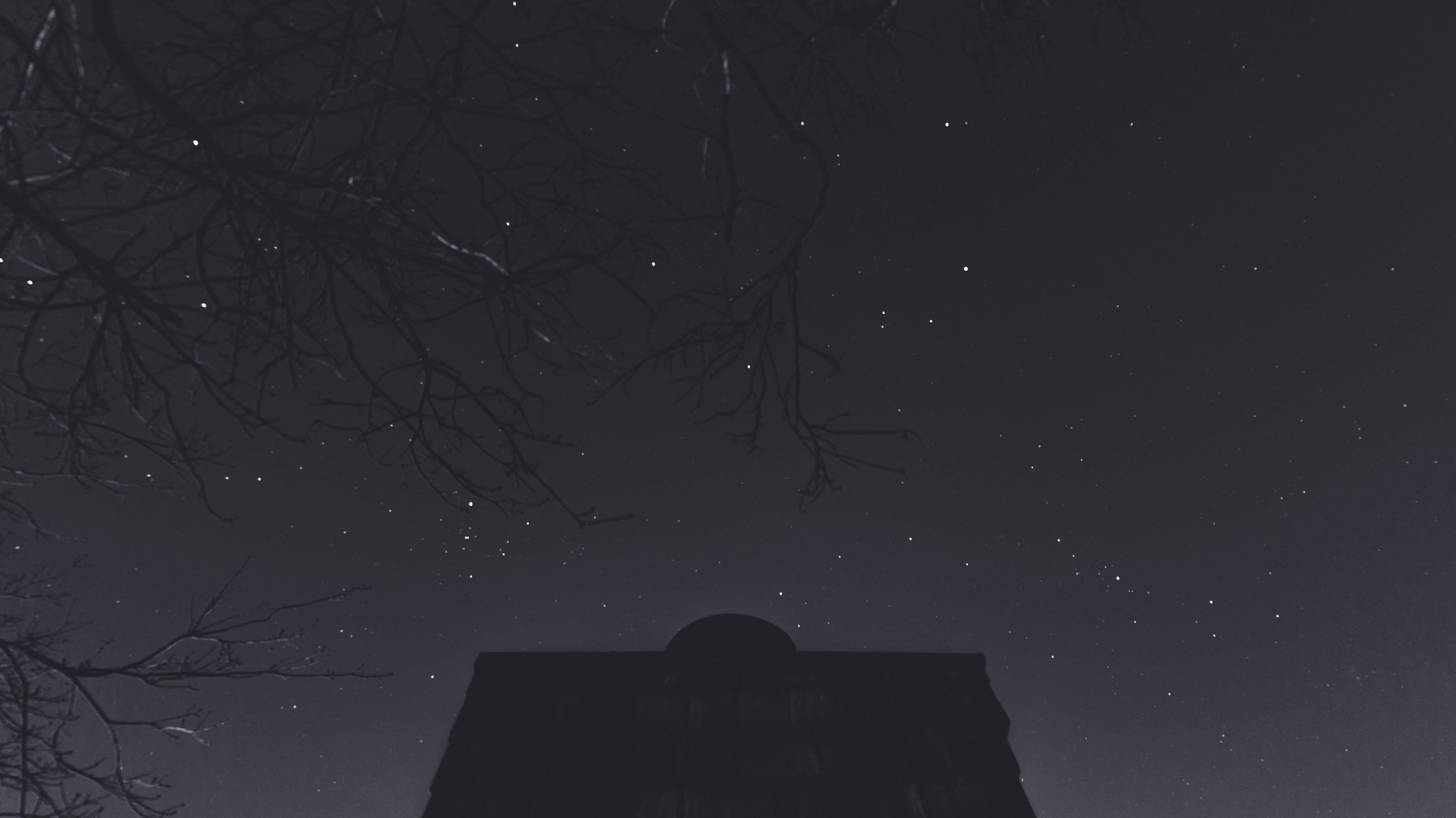 Free Unsplash photo from Joseph Wilkinson