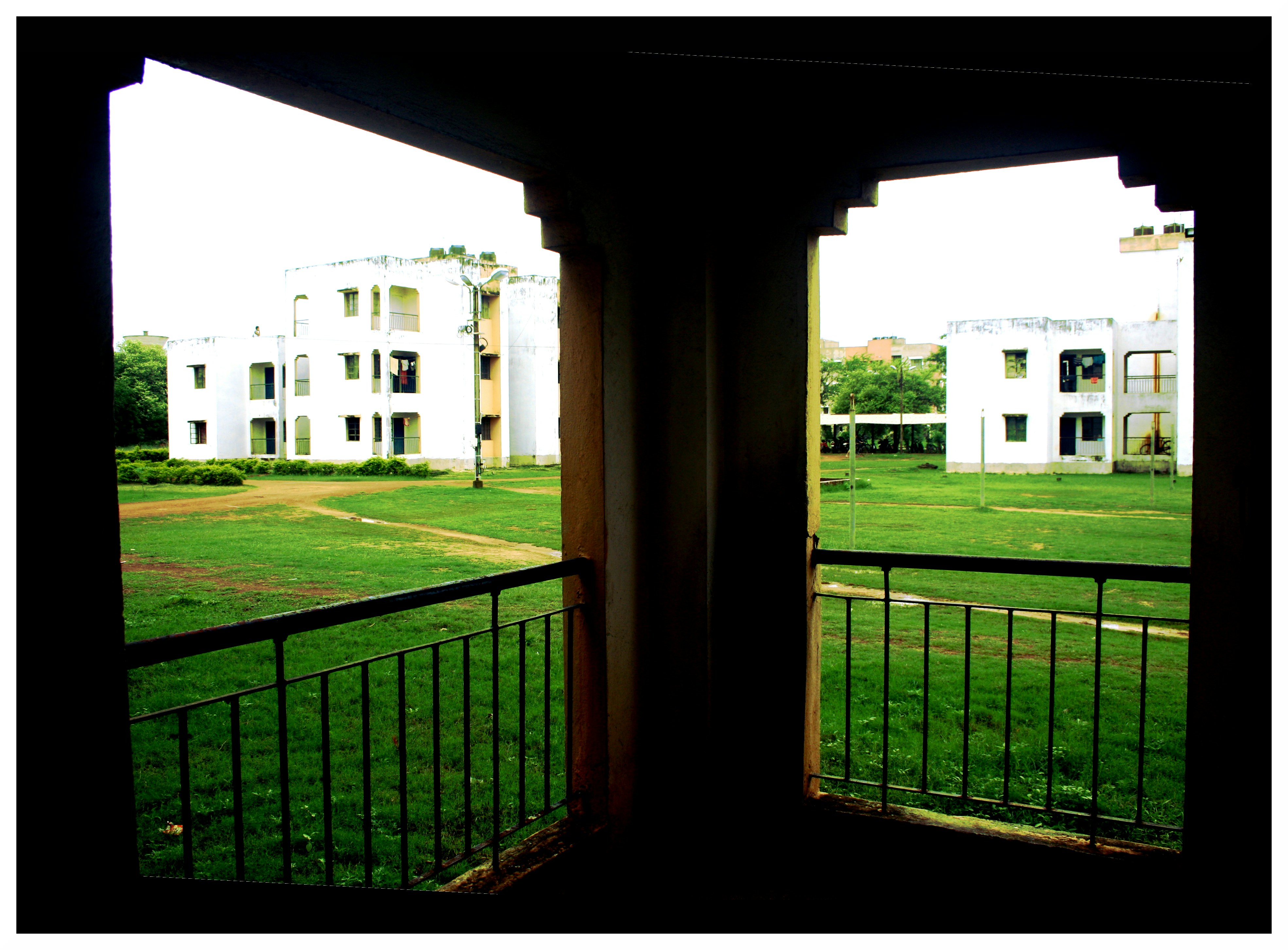 Free Unsplash photo from Tamal Sen