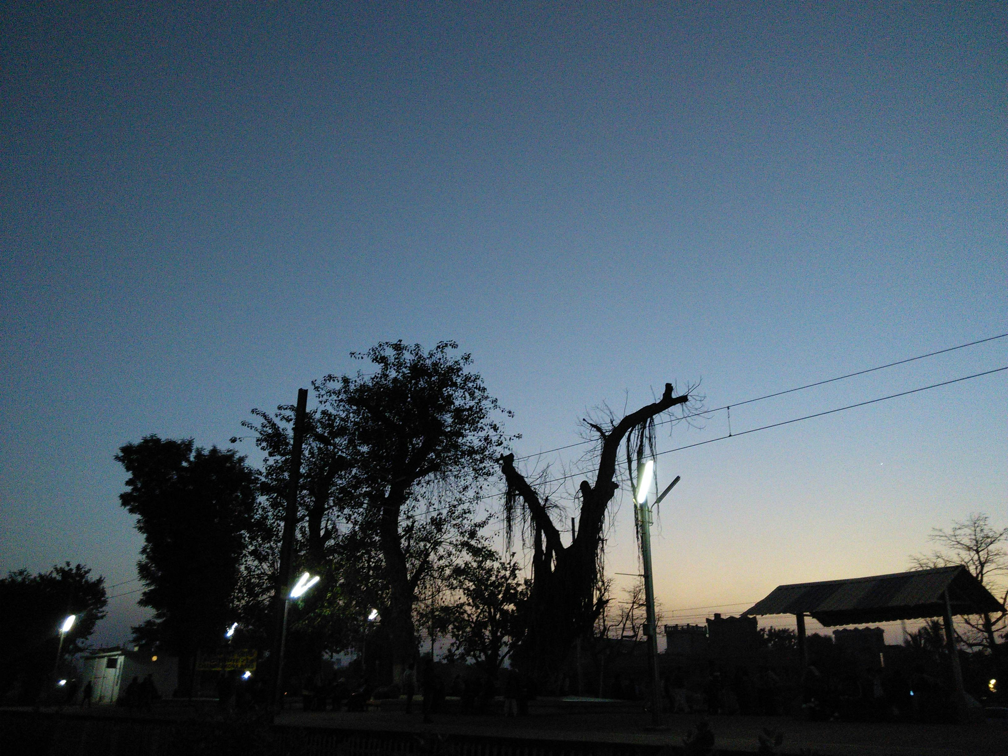 Free Unsplash photo from Tamal Sen