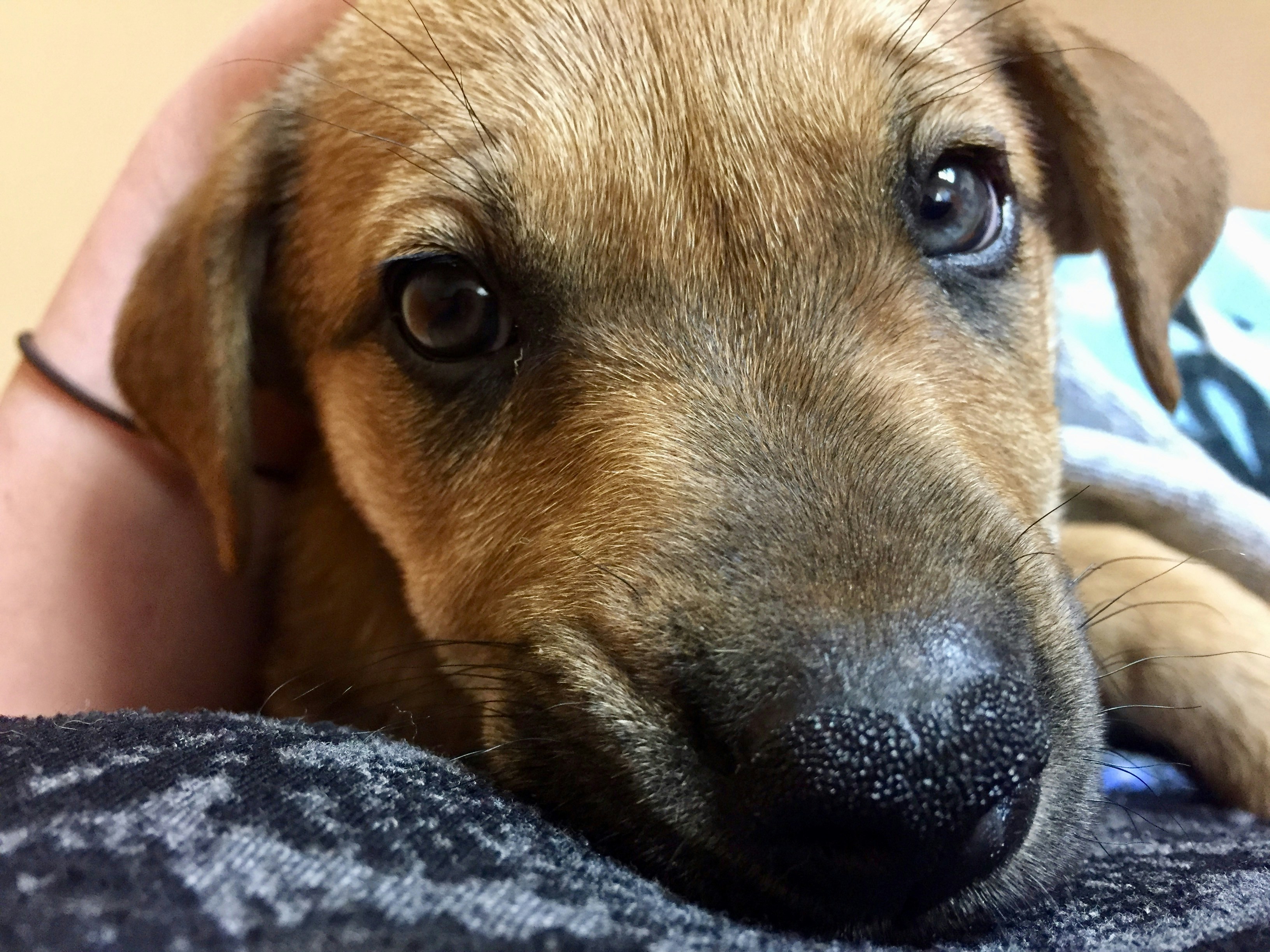 Free Unsplash photo from carolina Bryant