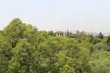 A classical temple with columns is nestled among lush green trees, under a clear blue sky. The landscape suggests a serene, natural environment with distant hilly terrain in the background.