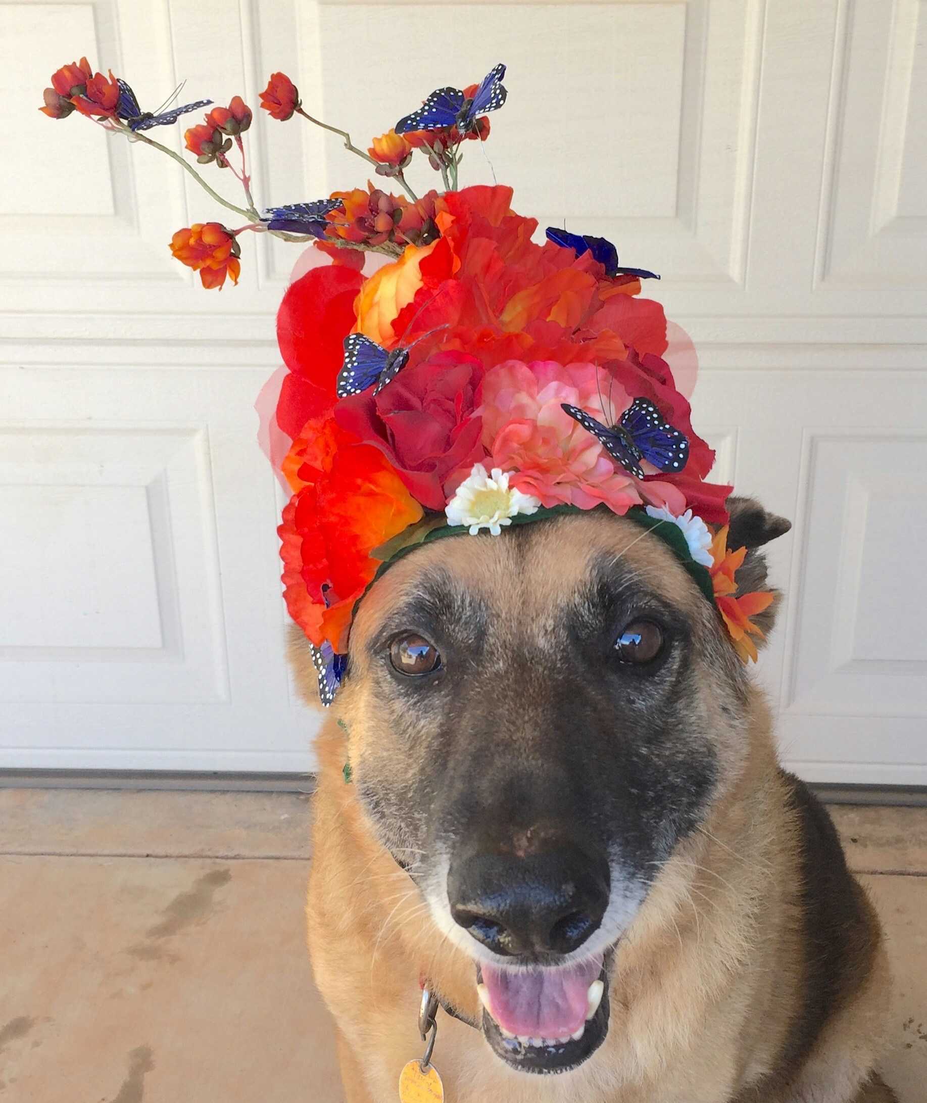 Free Unsplash photo from carolina Bryant