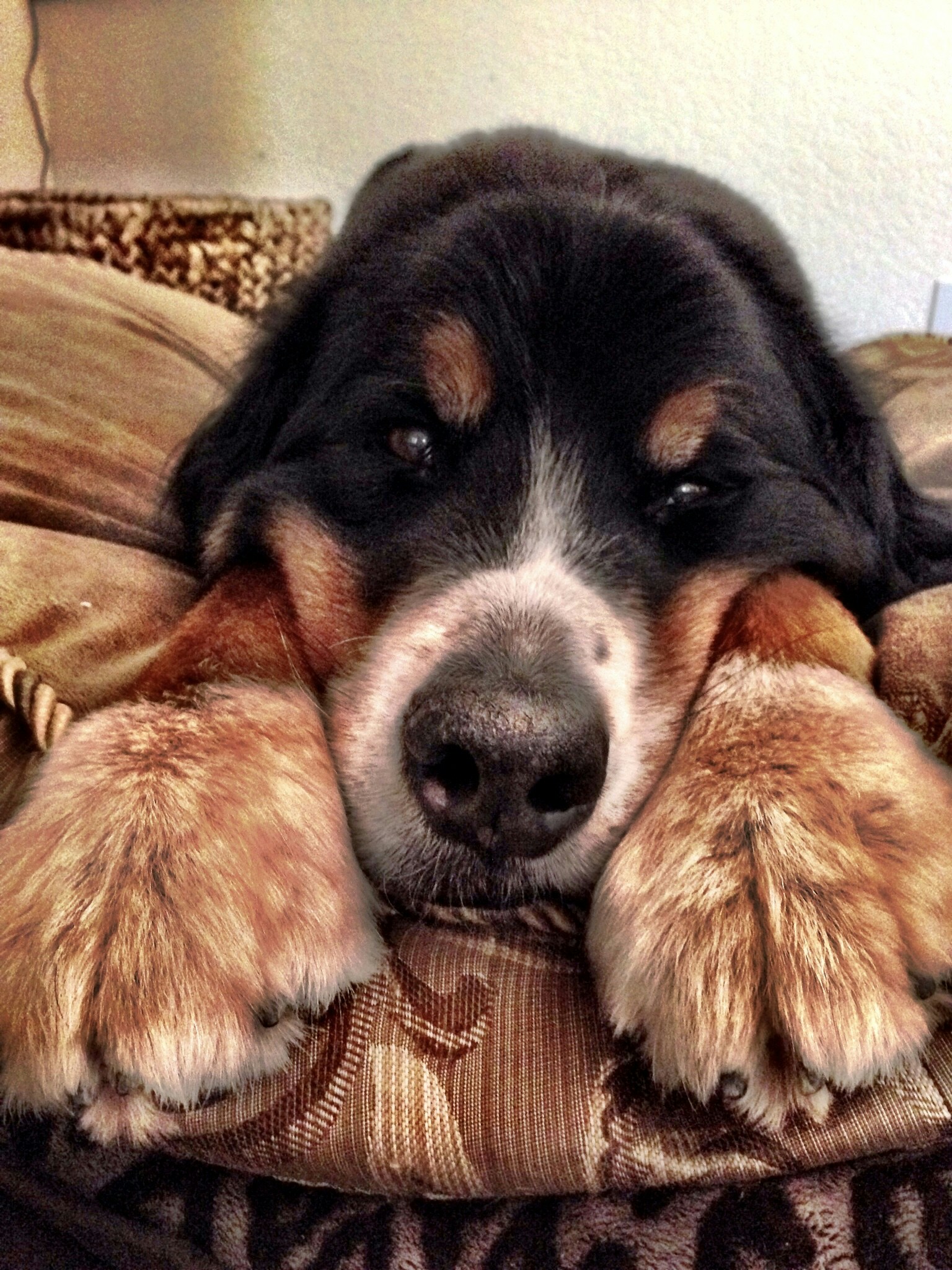 Free Unsplash photo from carolina Bryant