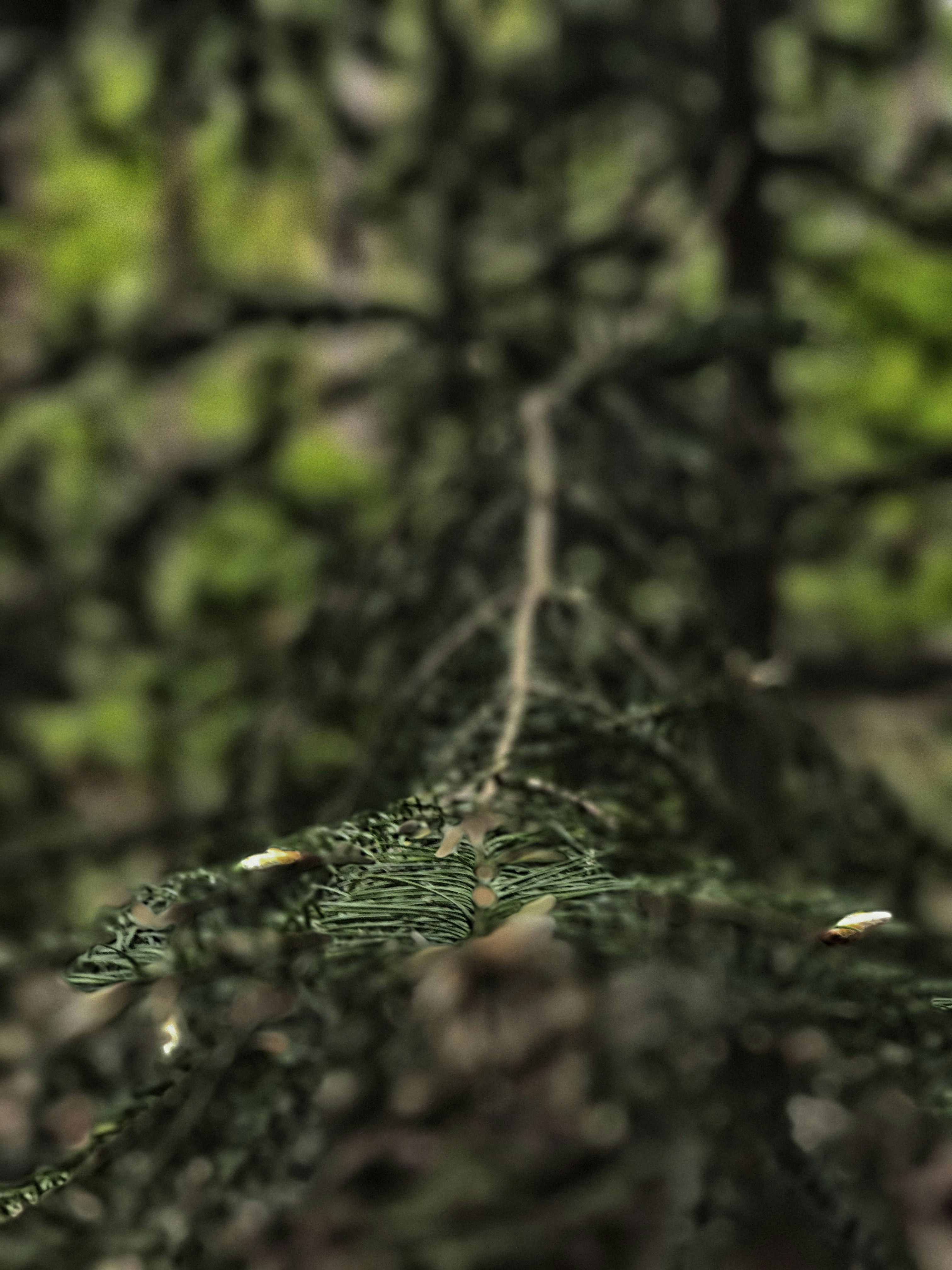 Free Unsplash photo from Arjan de Jong