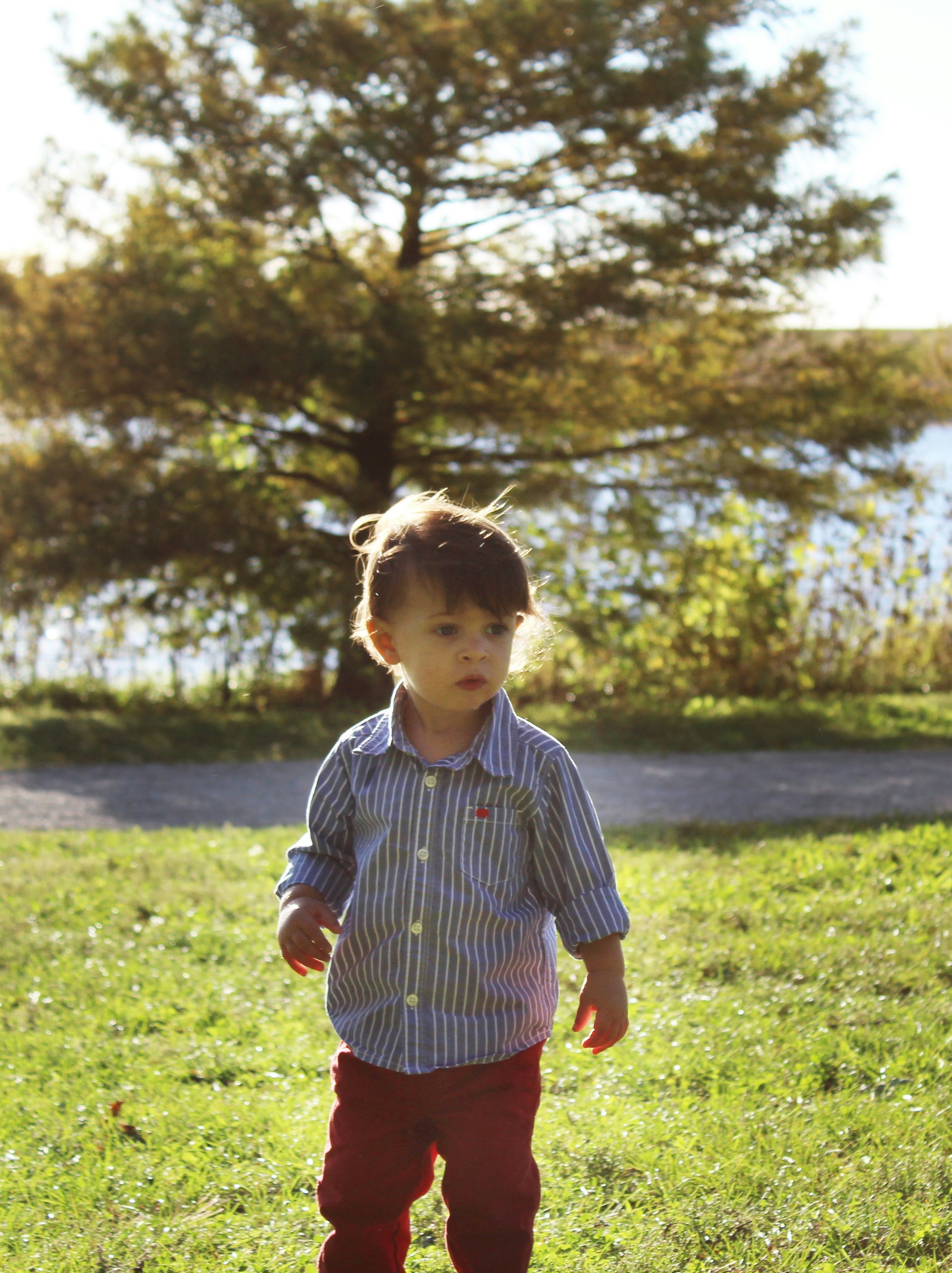 Free Unsplash photo from Kelly  Engquist