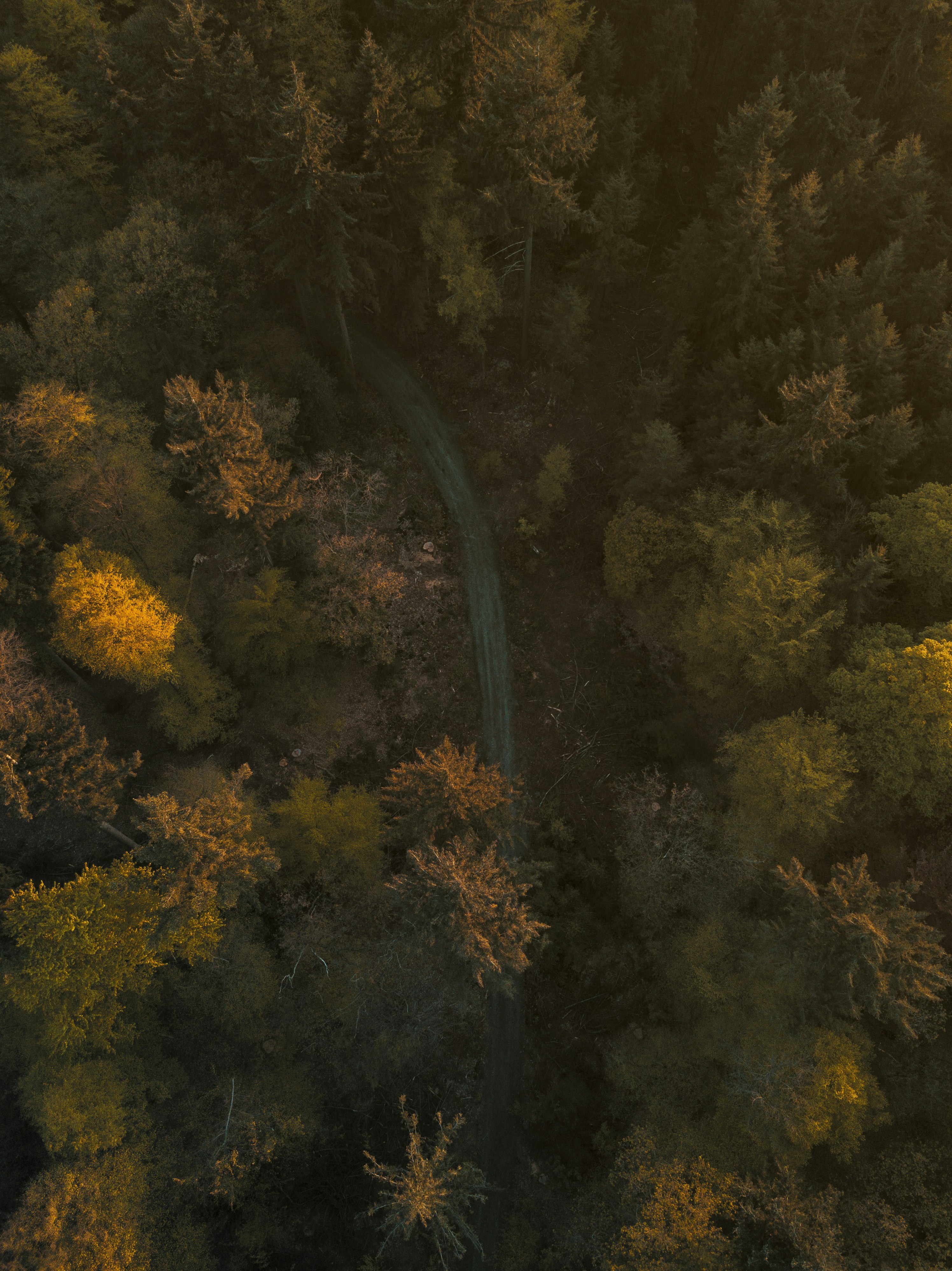 Free Unsplash photo from Wilco Van Meppelen