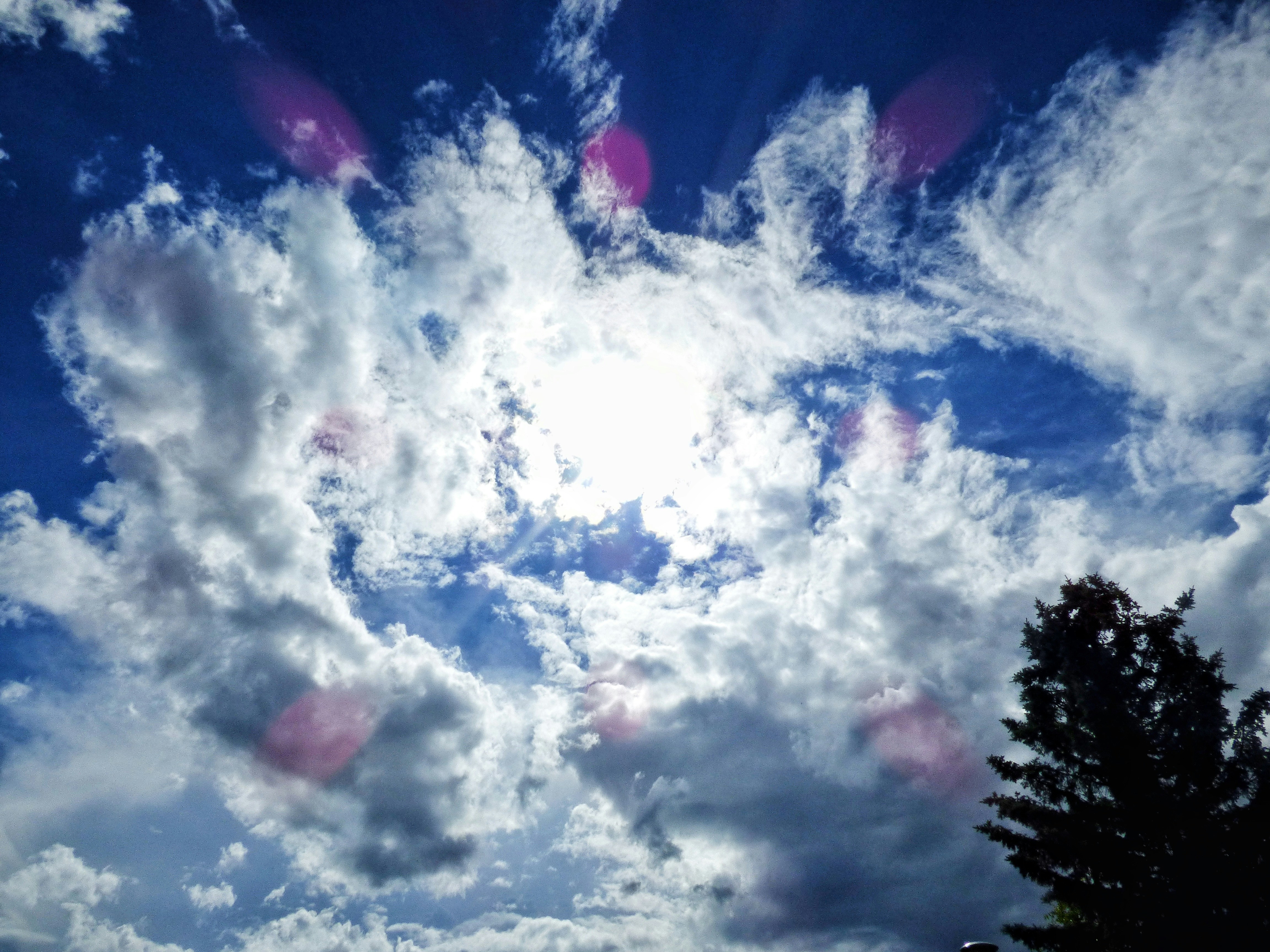 Free Unsplash photo from Jule Kopp