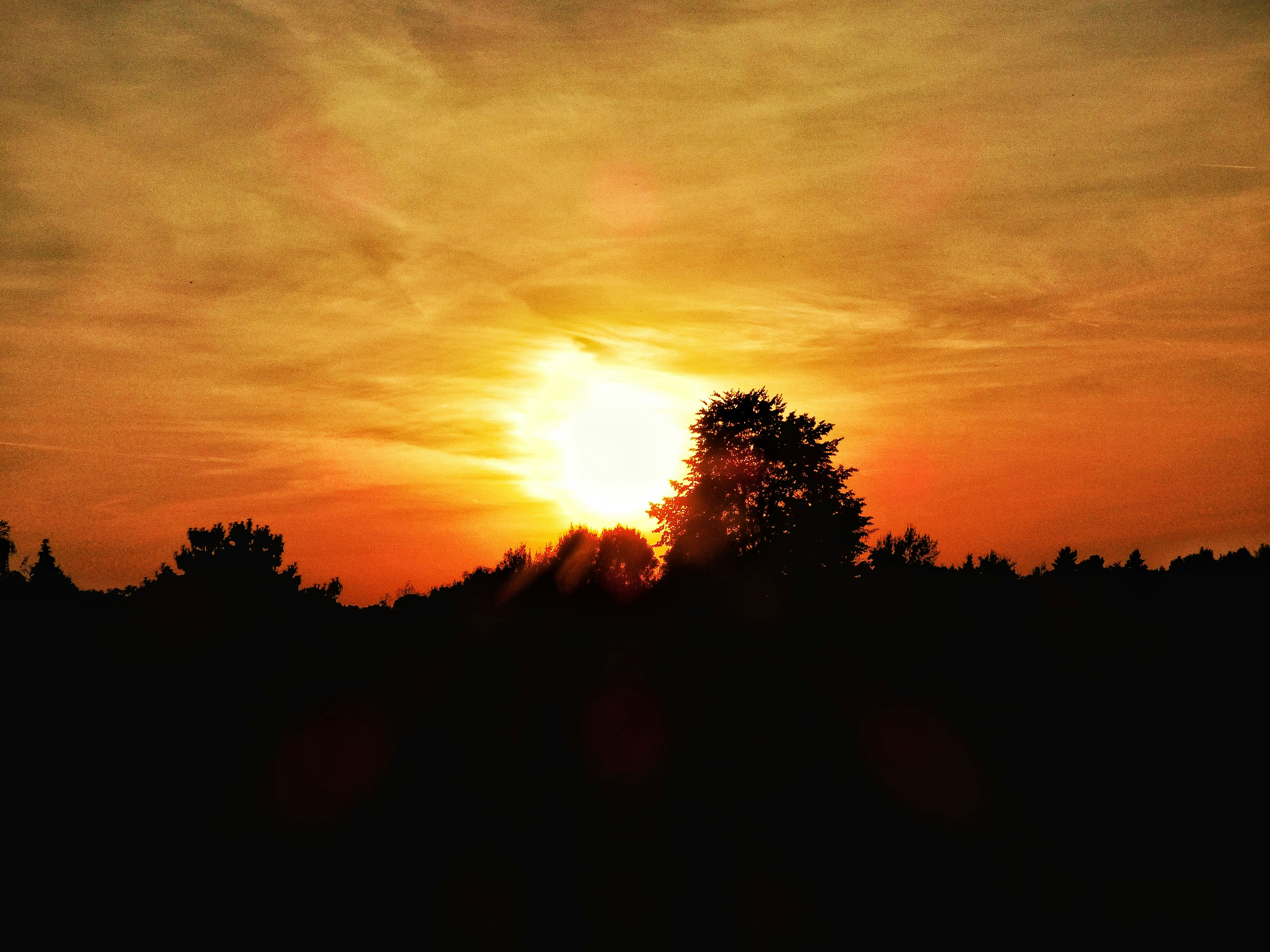 Free Unsplash photo from Jule Kopp