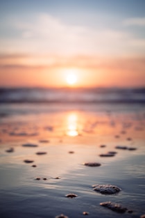 reflection of sunset on beachshore