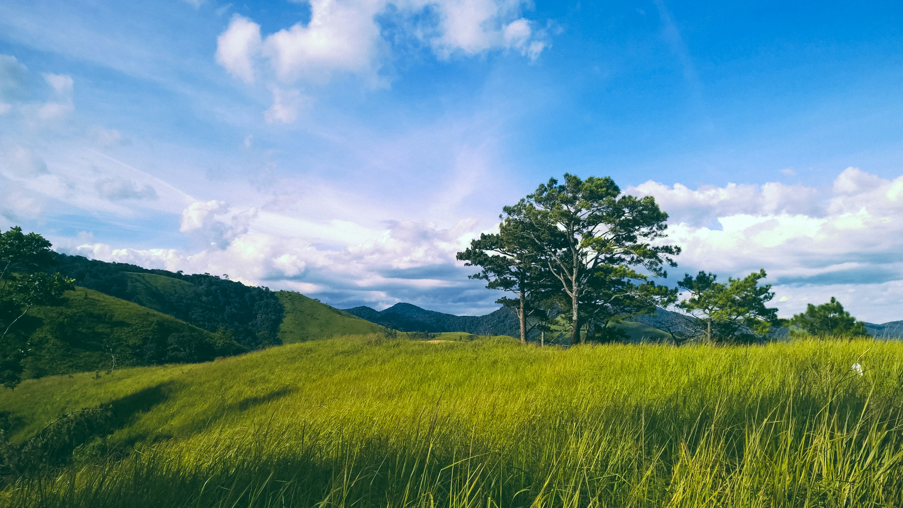 Free Unsplash photo from Hải Hắc