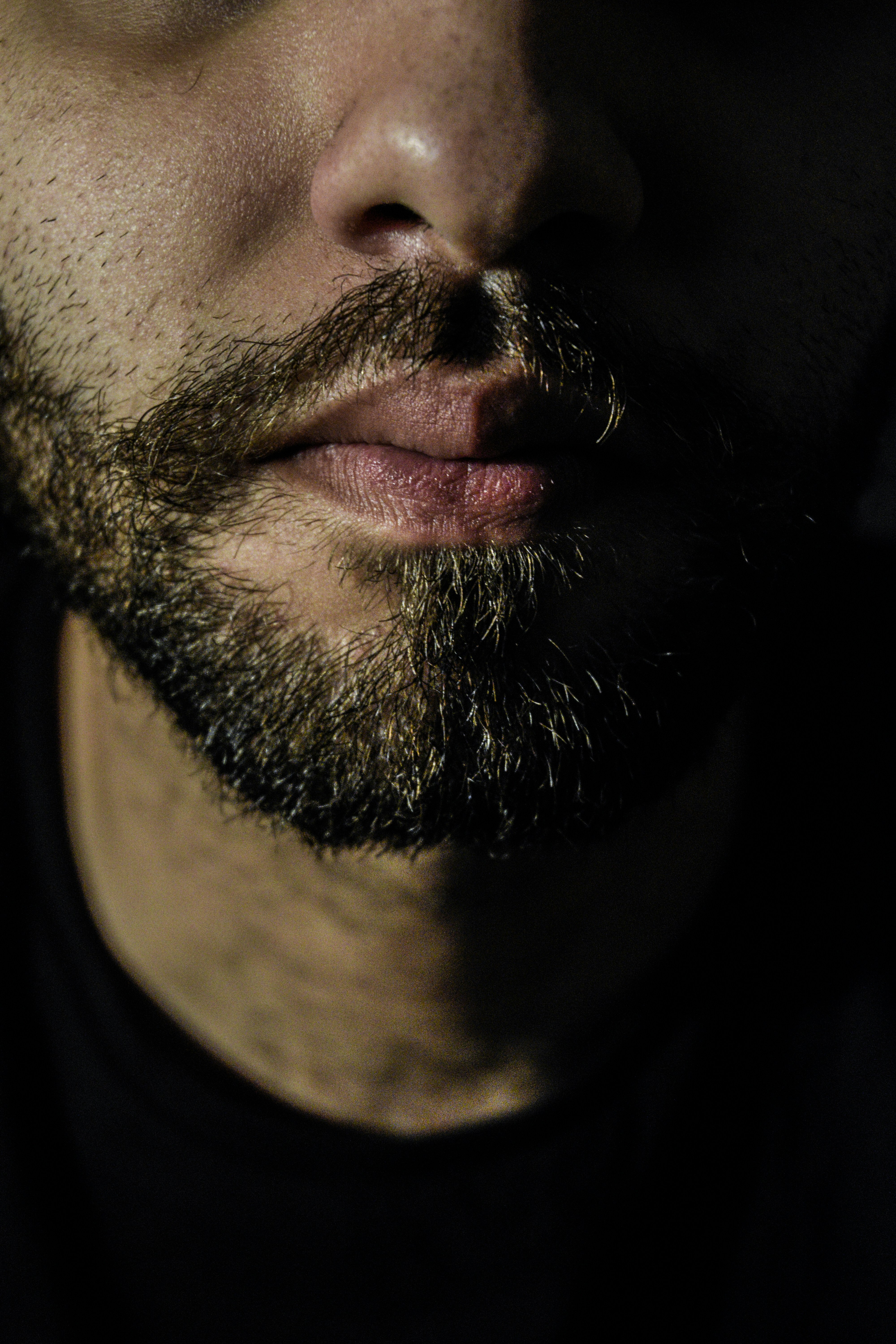 Free Unsplash photo from Ryan Oswick