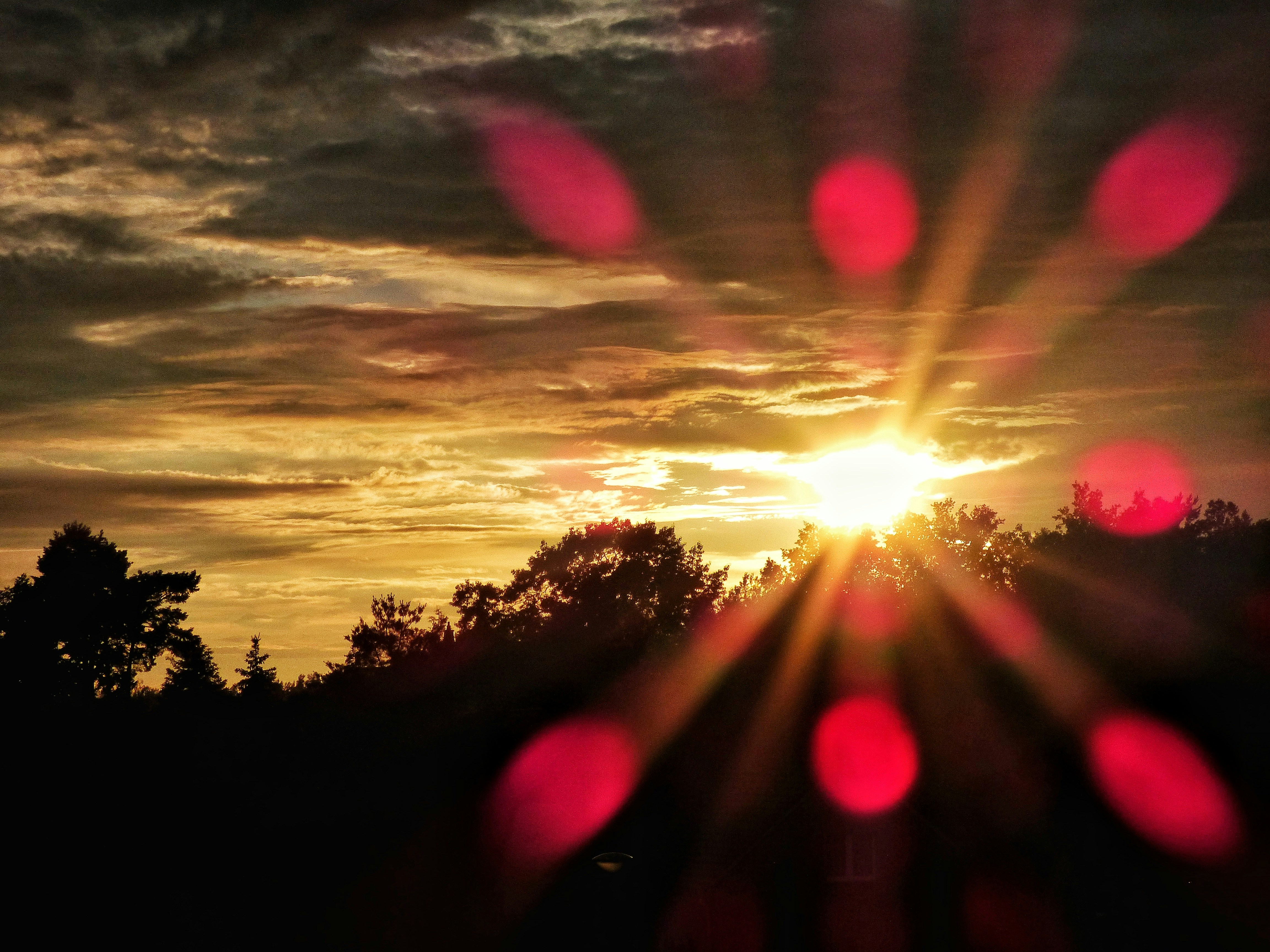 Free Unsplash photo from Jule Kopp