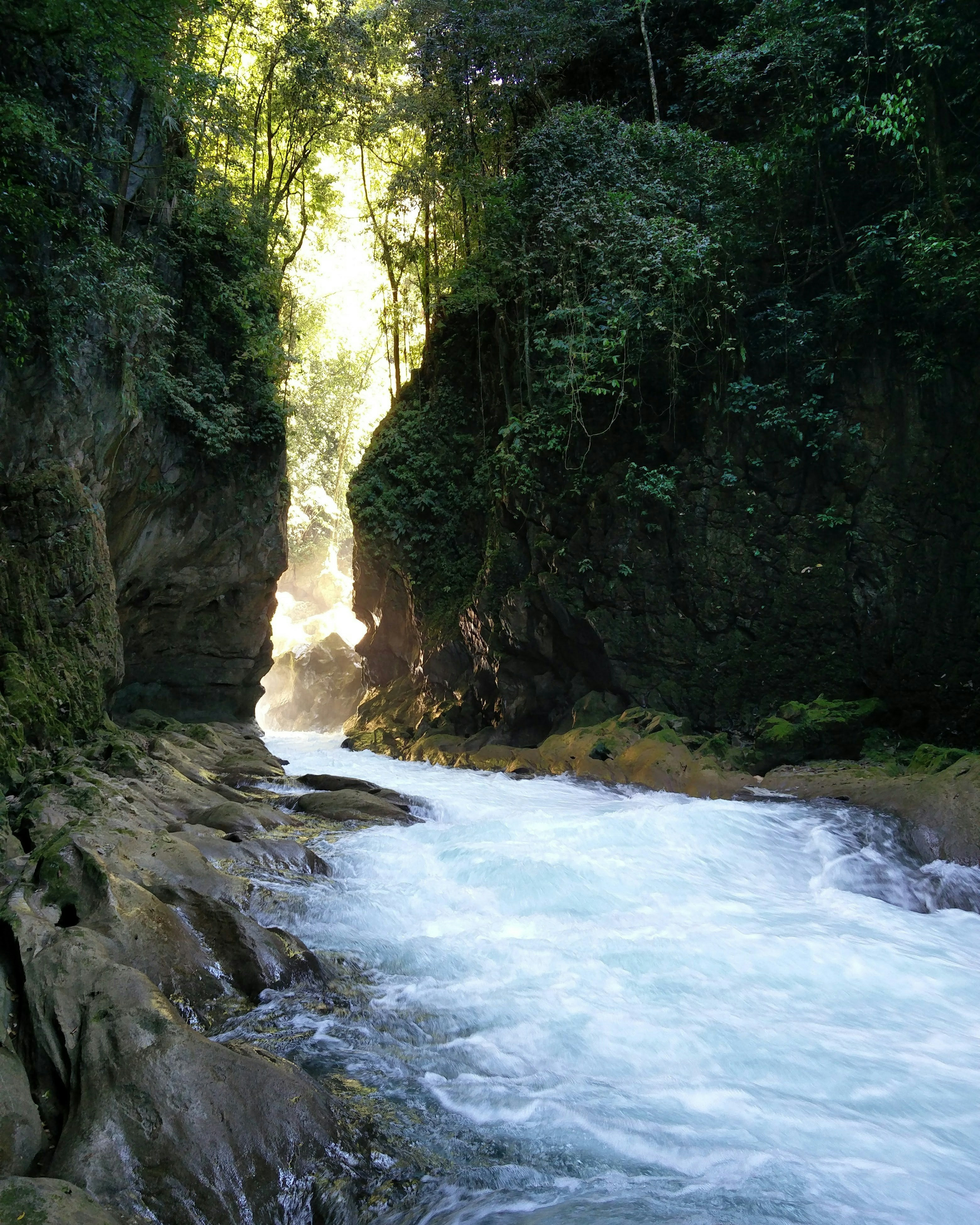 Free Unsplash photo from Rafael Vidal