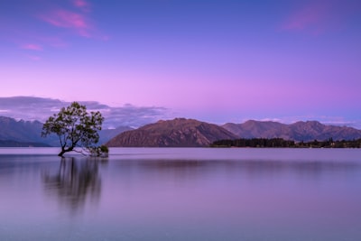 tree on body of water near mountains calm google meet background