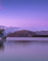 tree on body of water near mountains