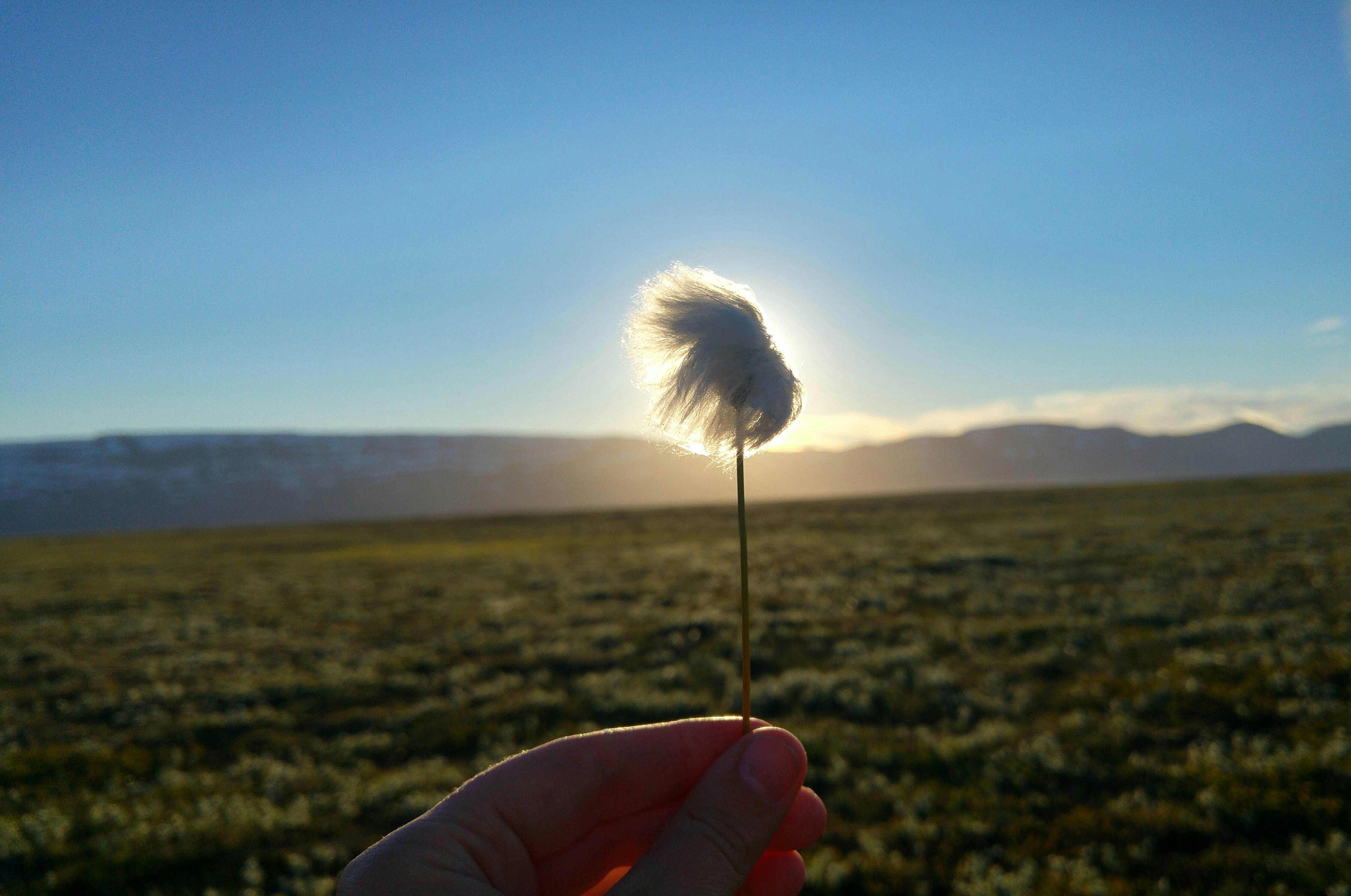 Free Unsplash photo from Kimberly Segers