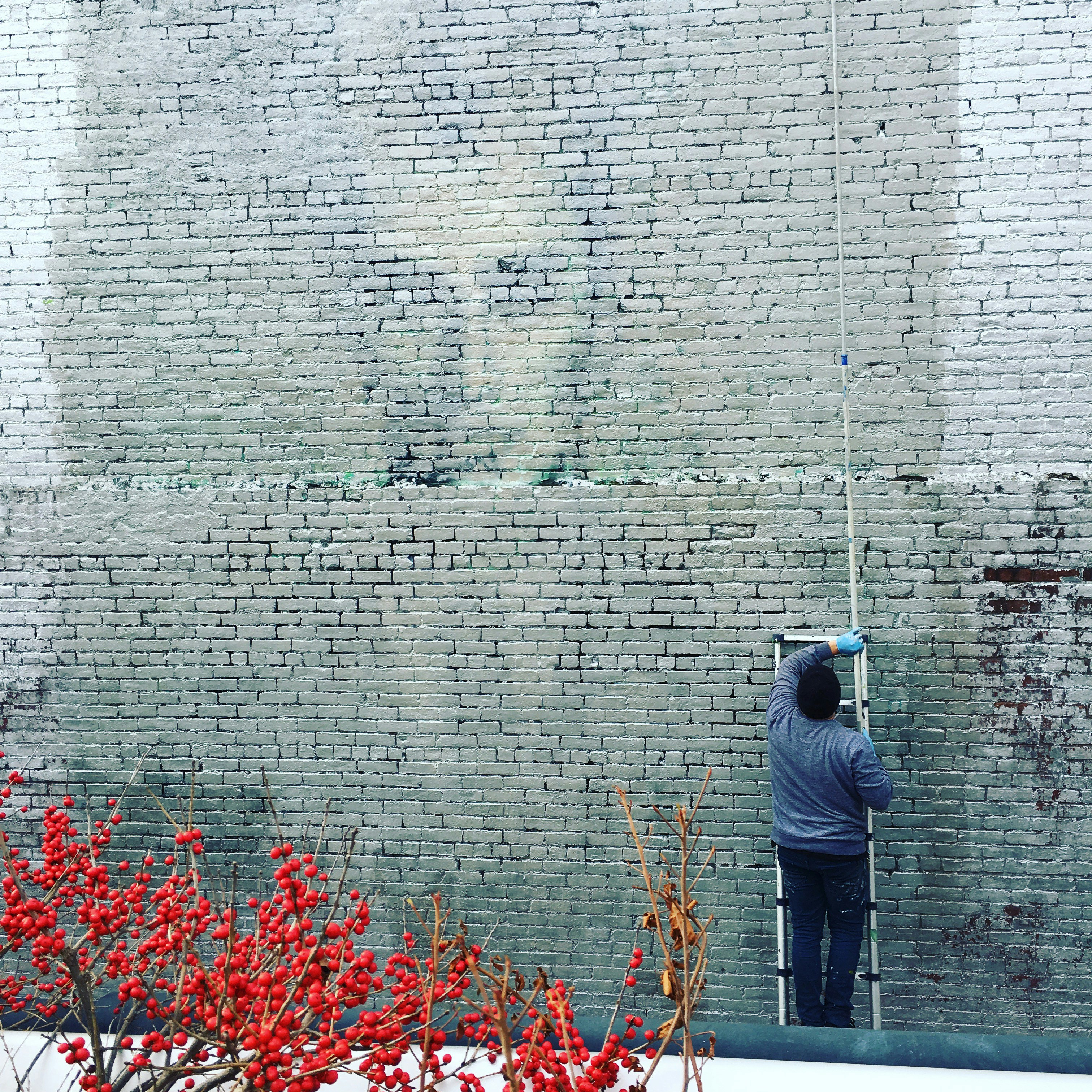 Free Unsplash photo from Adam Calihman